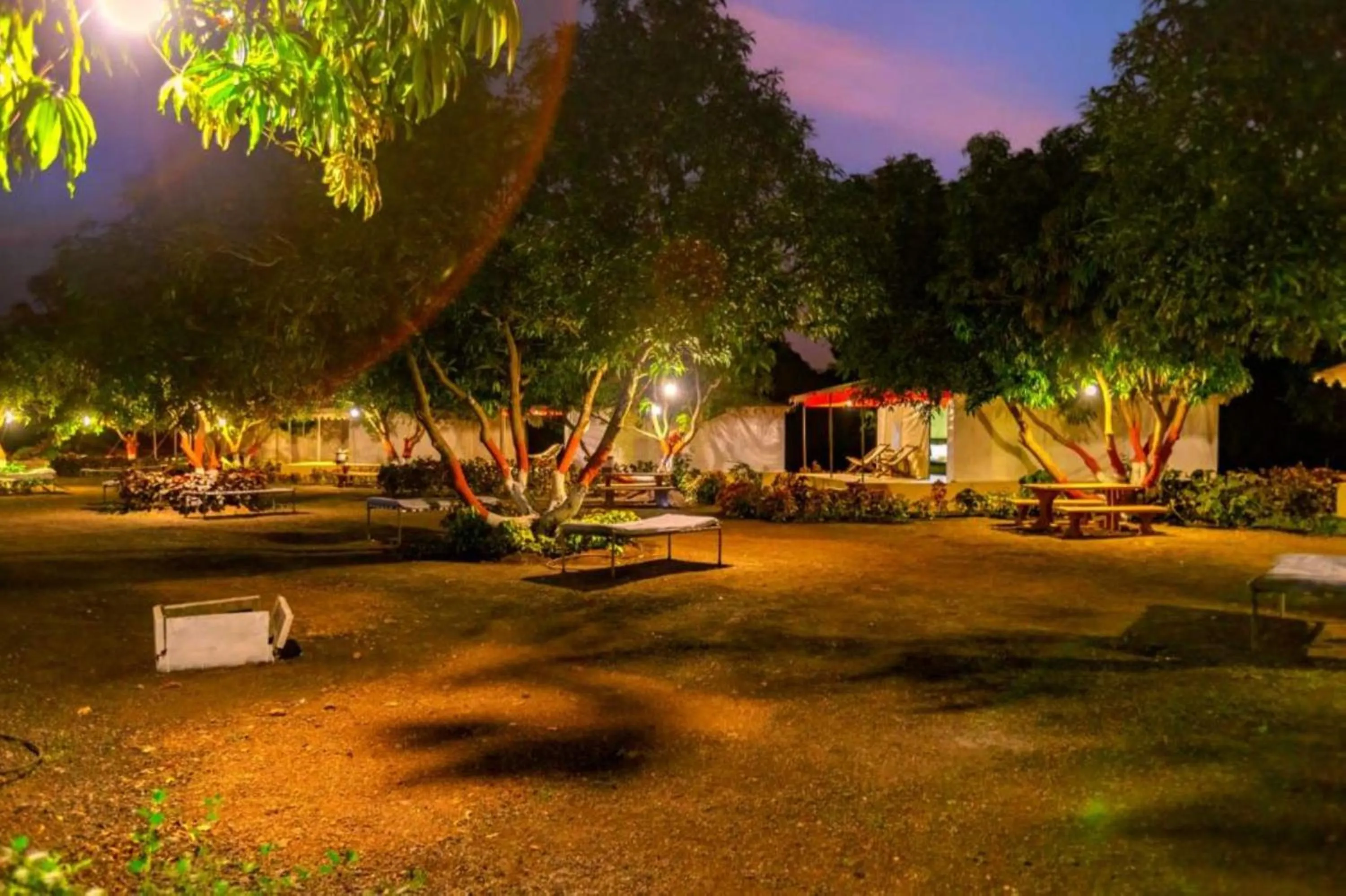 Garden in Amber Resort