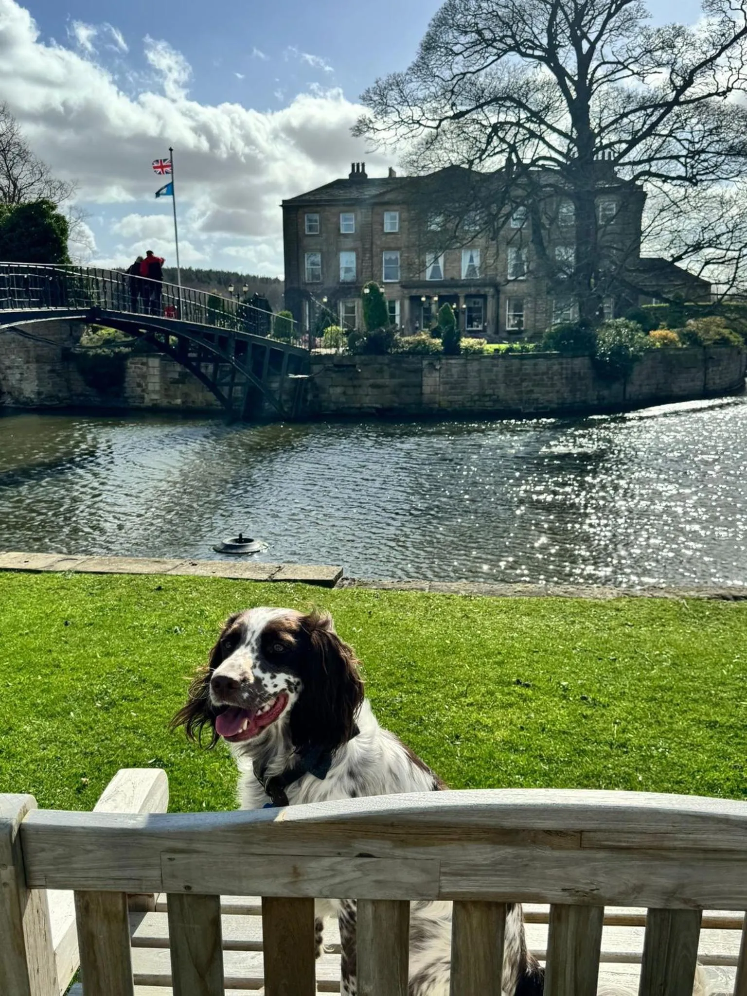 Pets in Waterton Park Hotel