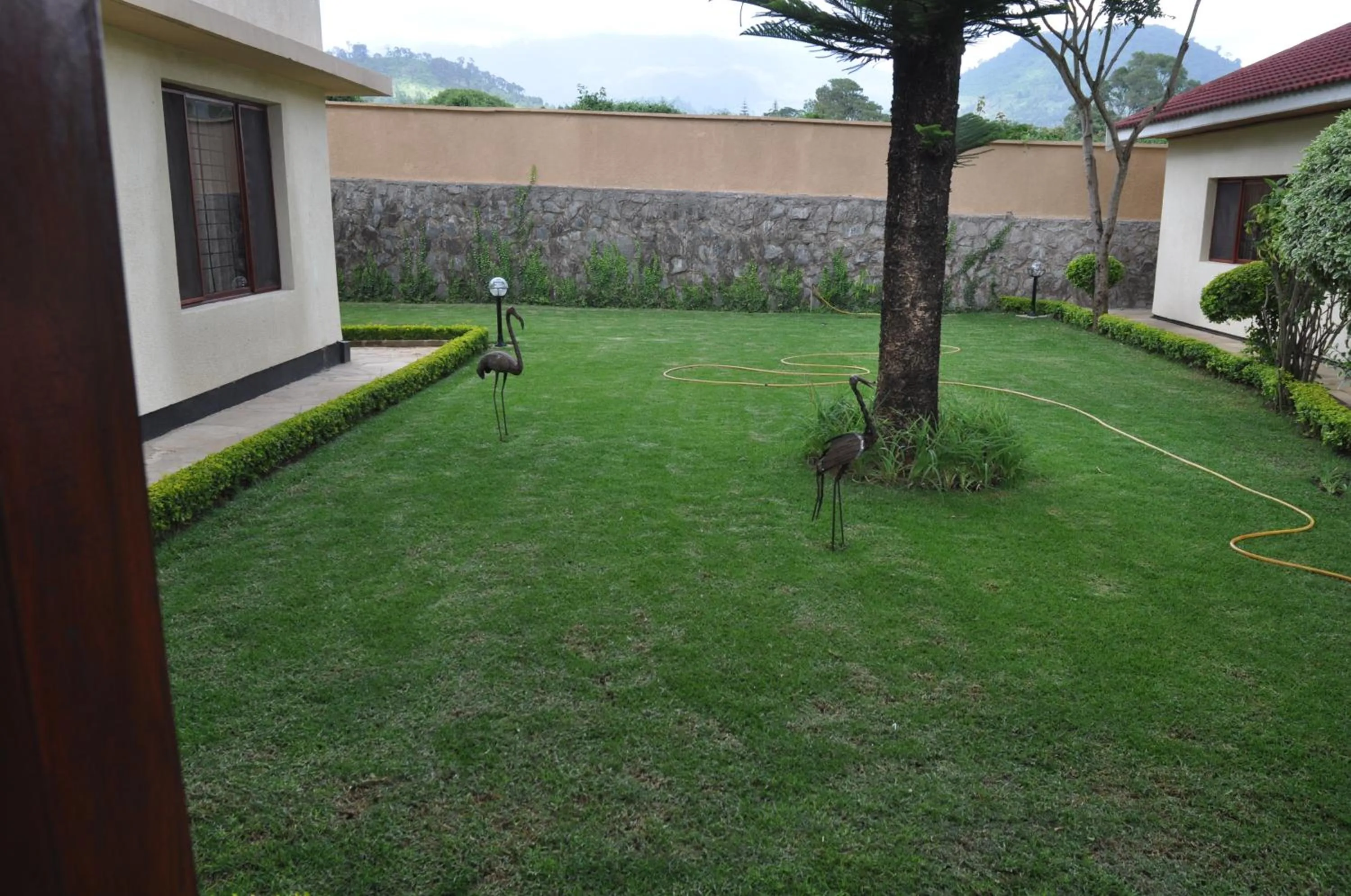 Garden in The Milimani Lodge