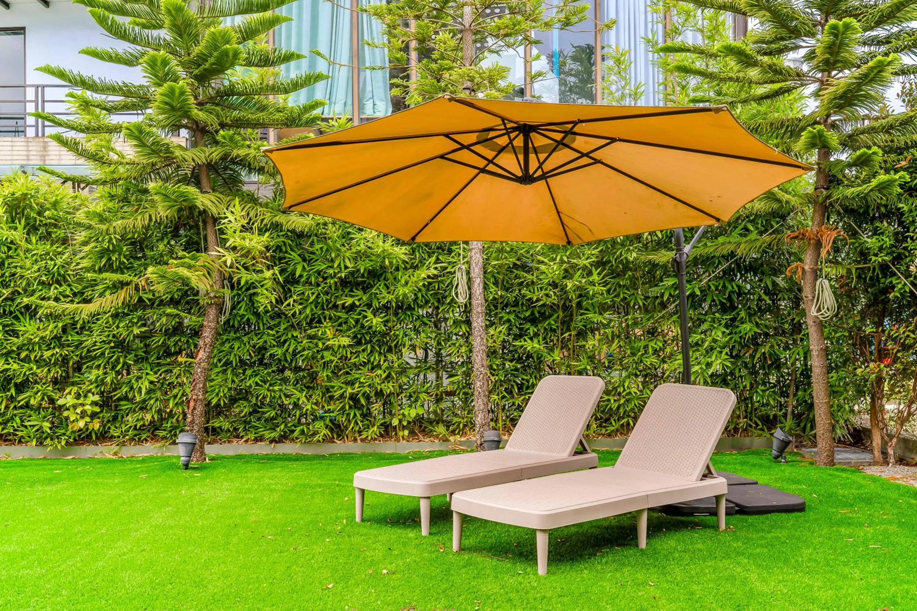 sunbed in Ning Xia Time