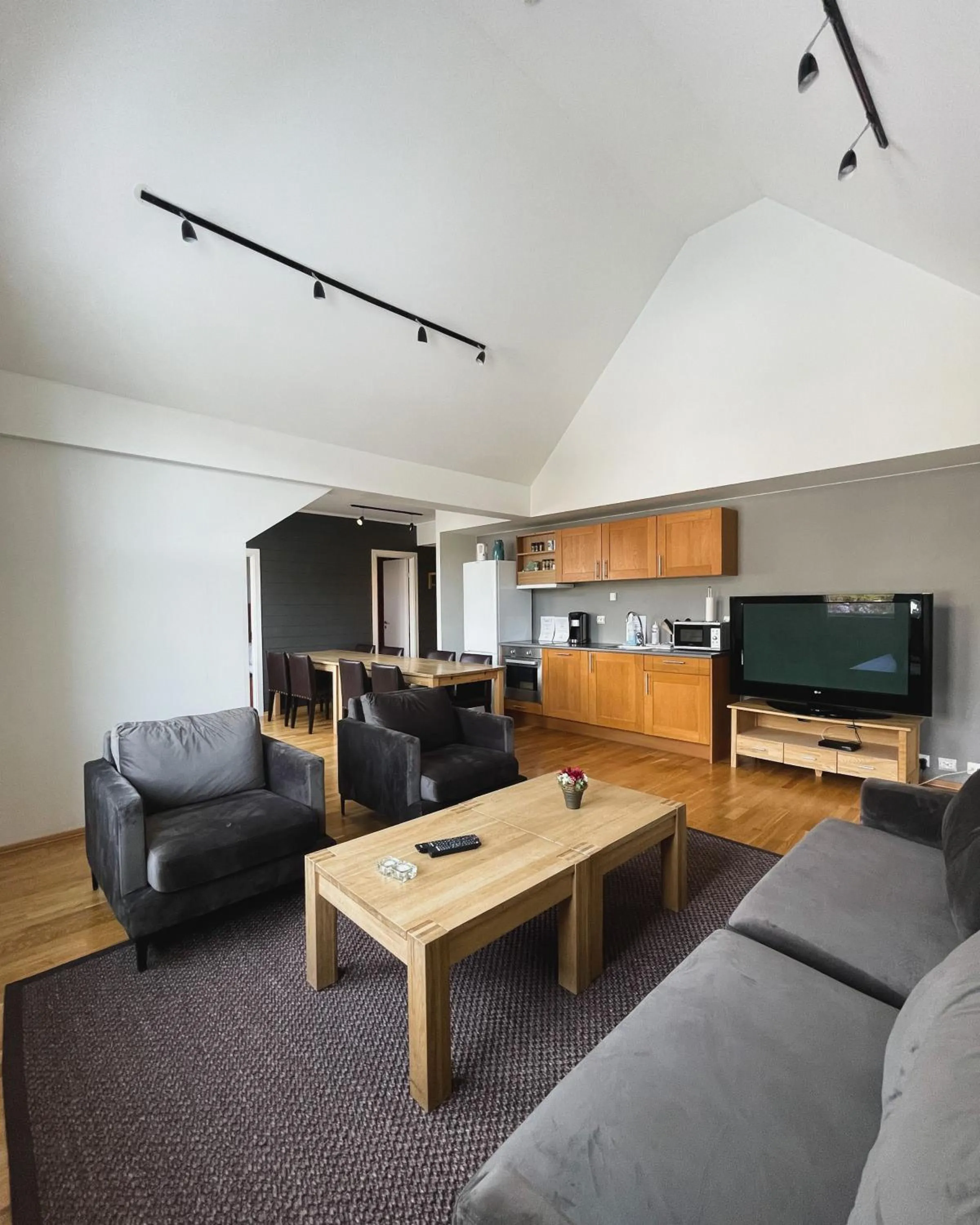 TV and multimedia in Hovdestøylen Apartments