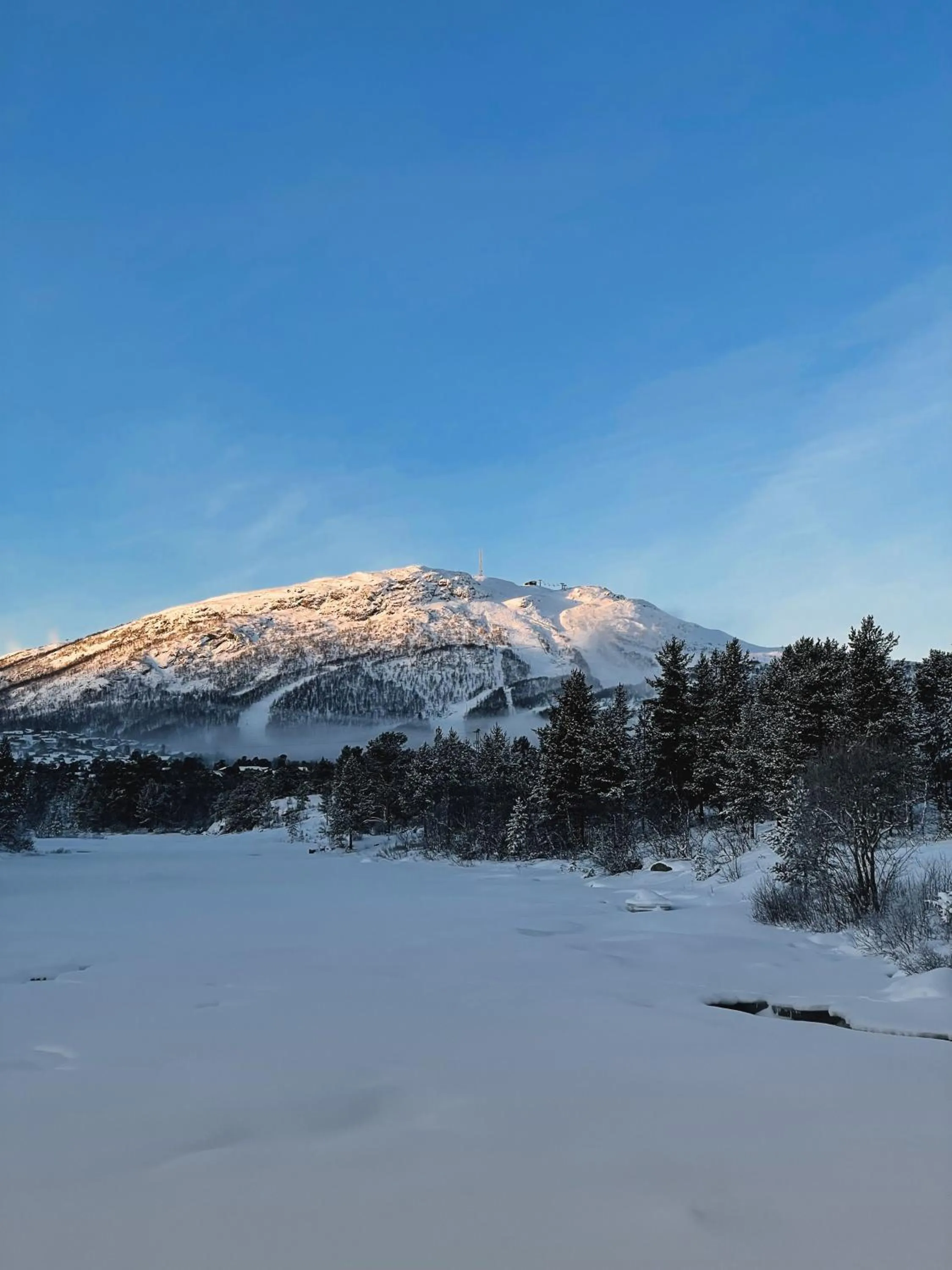 Nearby landmark in Hovdestøylen Apartments
