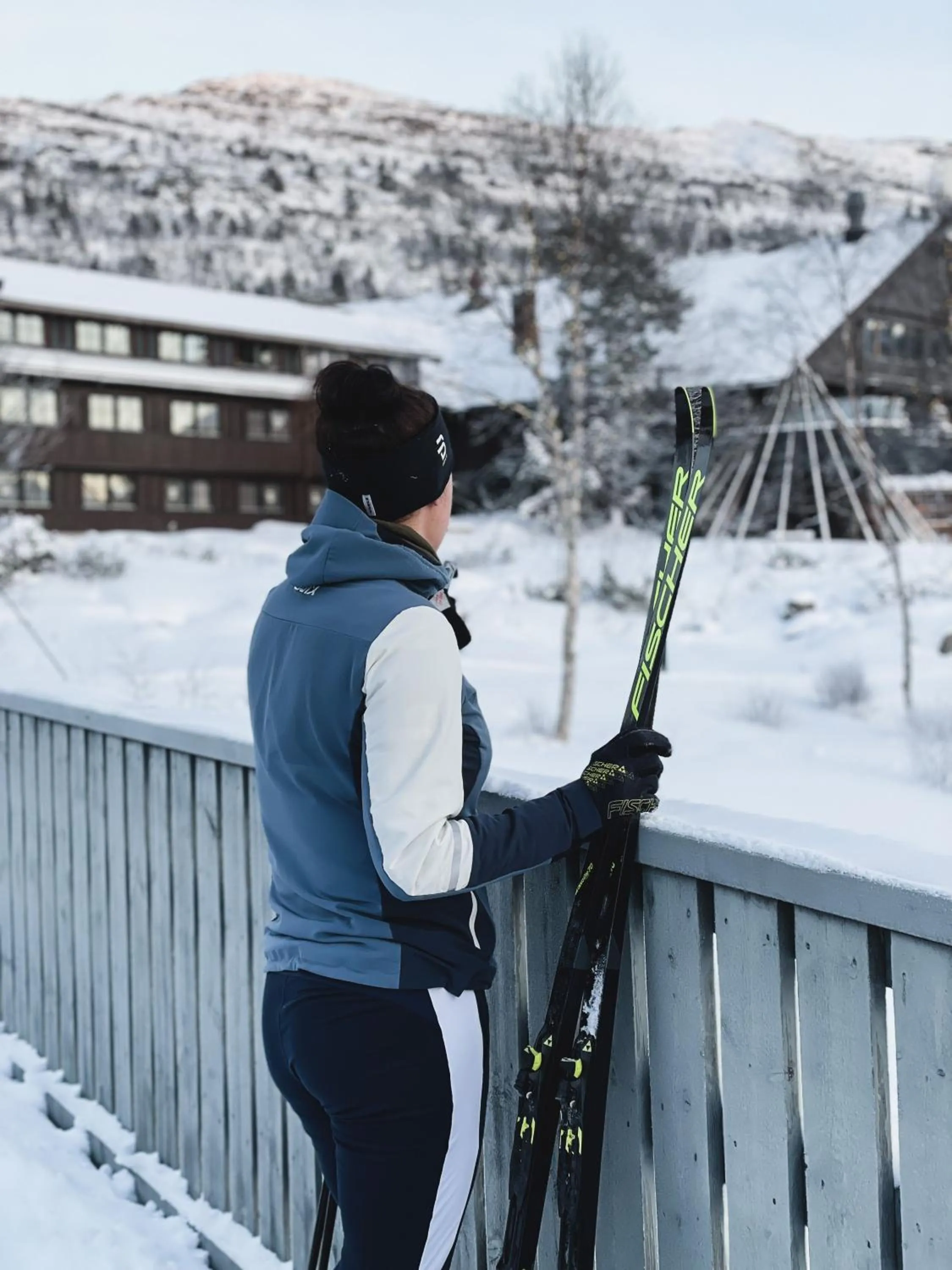 Natural landscape in Hovdestøylen Apartments