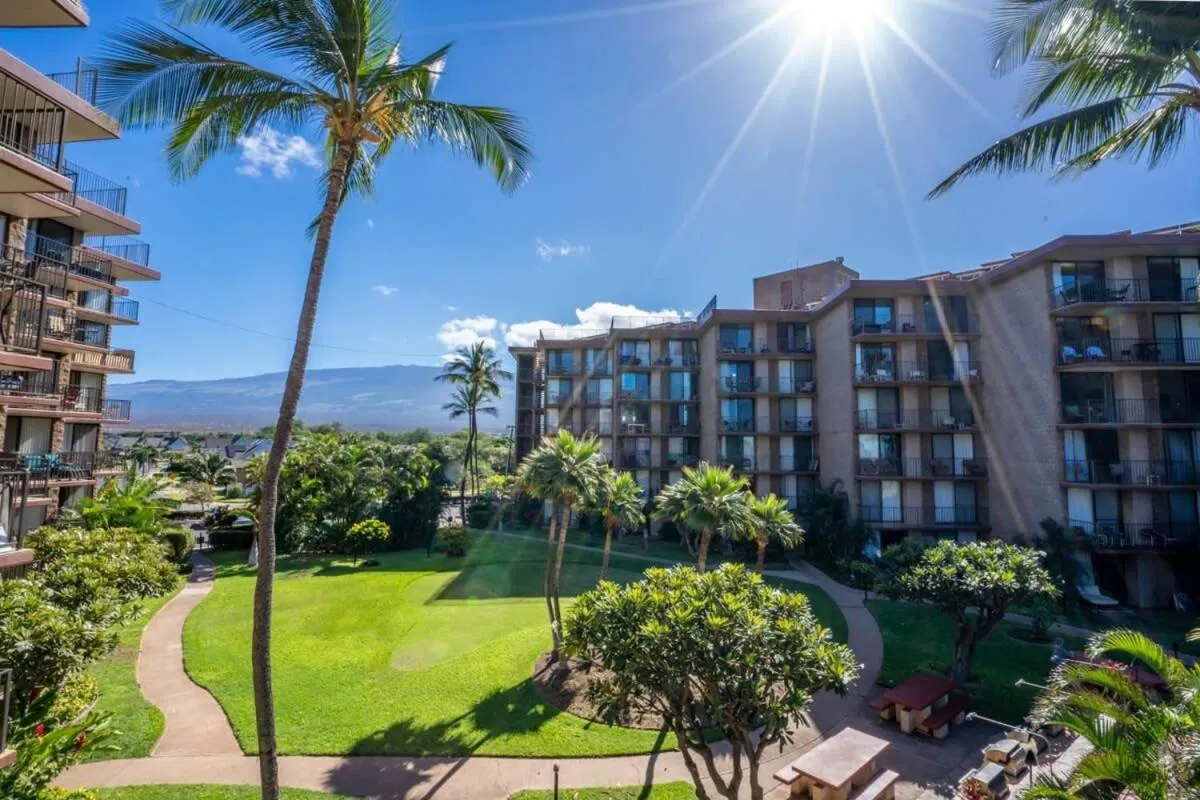 2 2 Oceanview Modern Resort Vistas