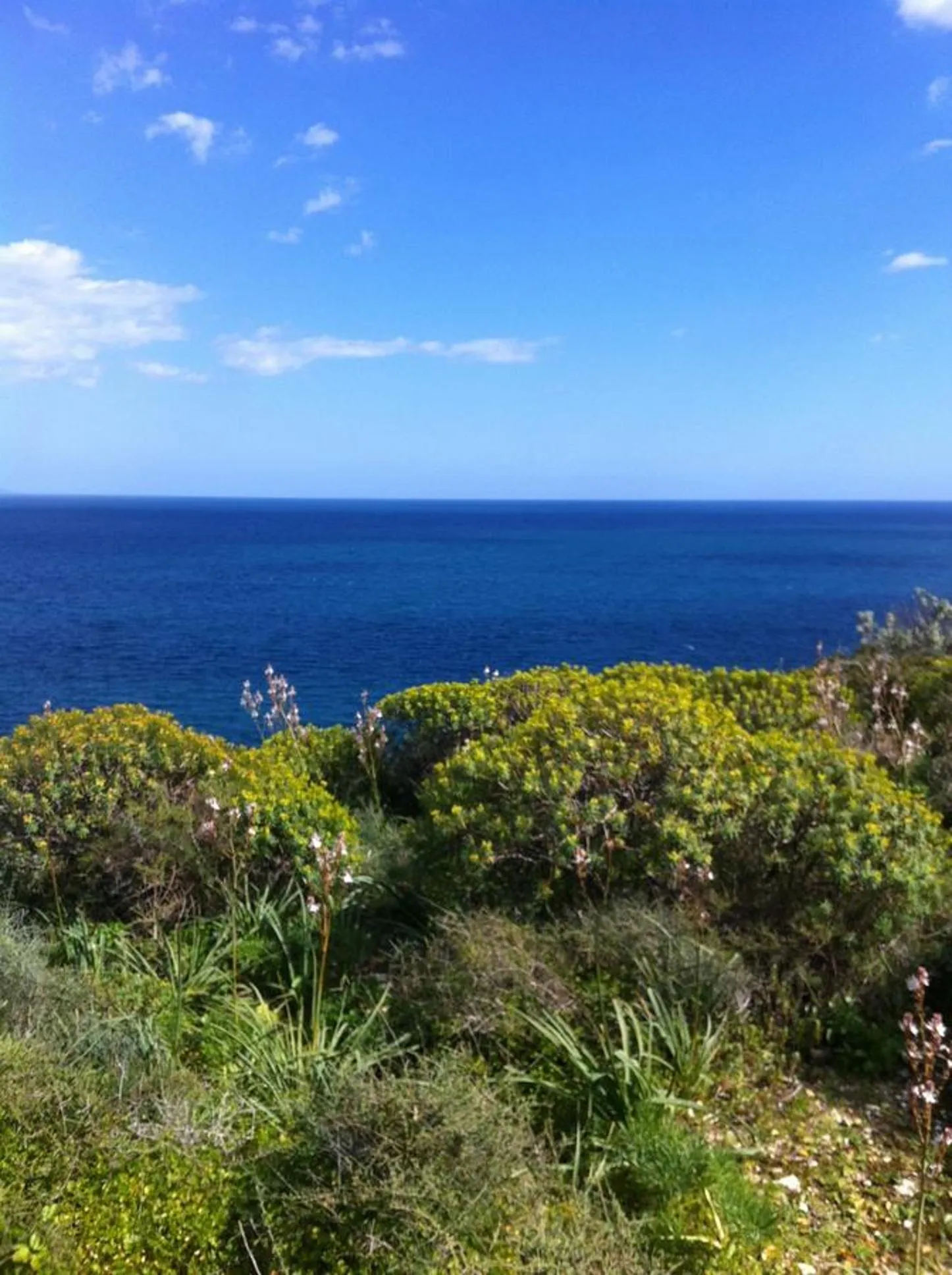 Day in B&B Majestade