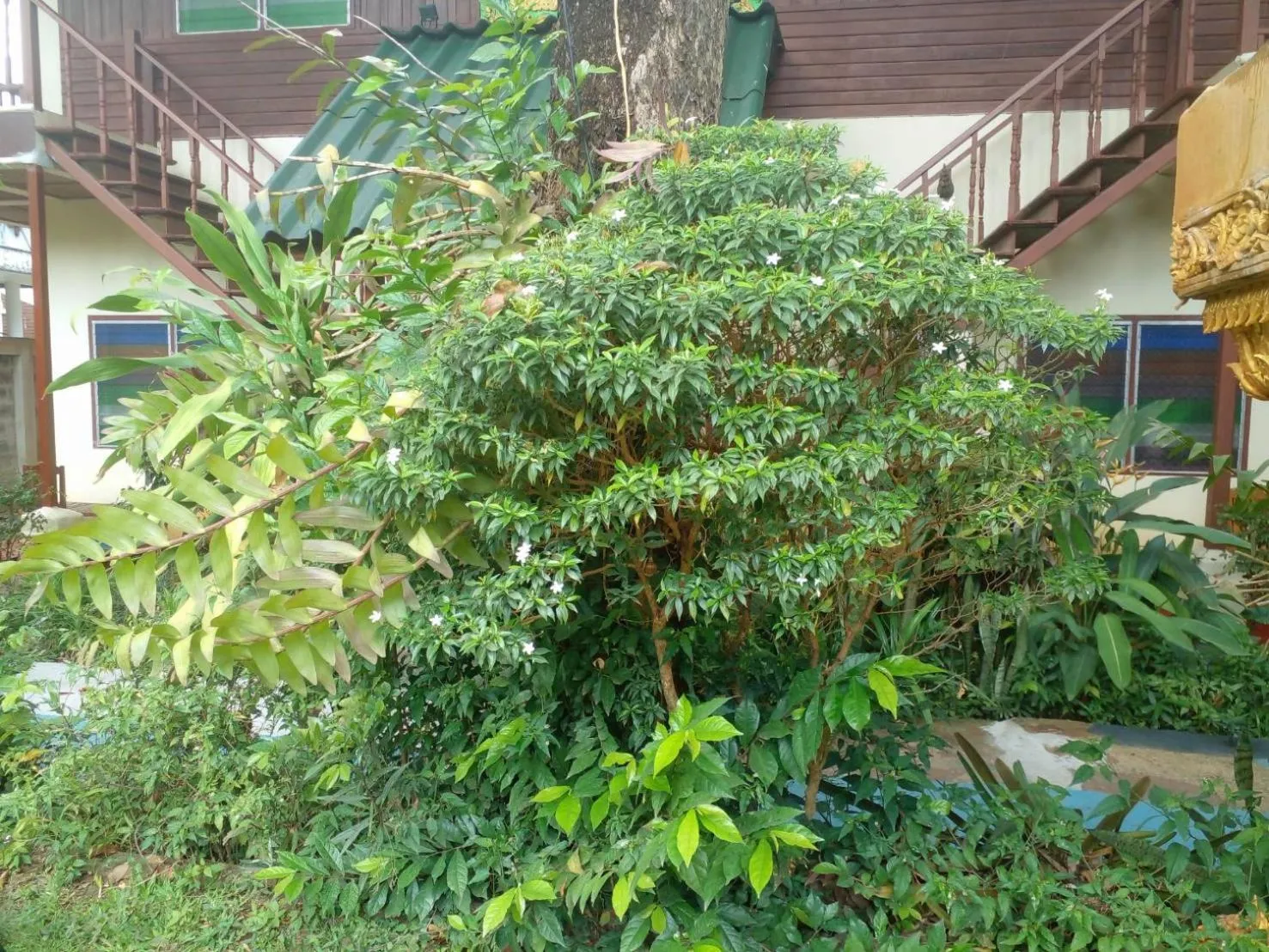 Property building in Golden Triangle Palace Hotel