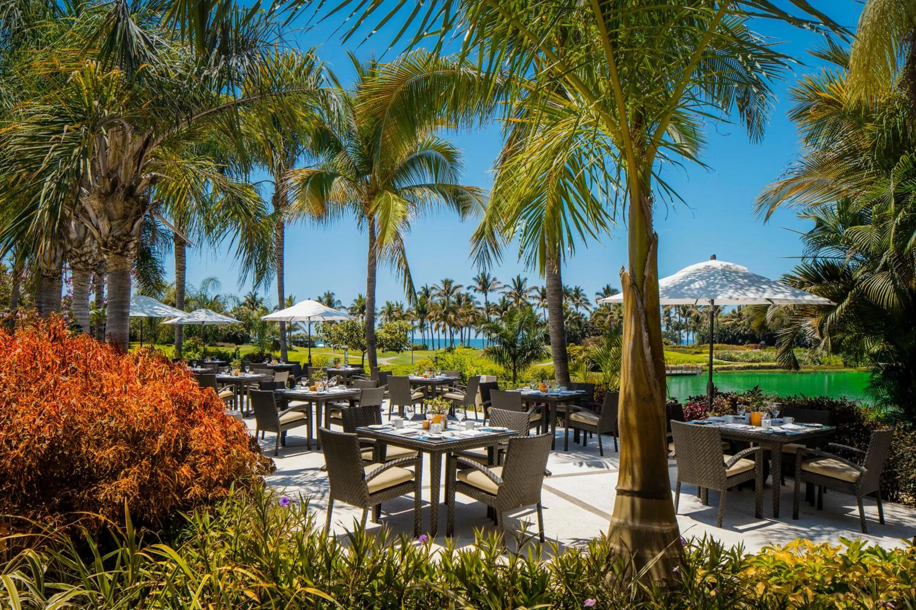 Restaurant/places to eat in BON Hotel at VidantaWorld Nuevo Vallarta