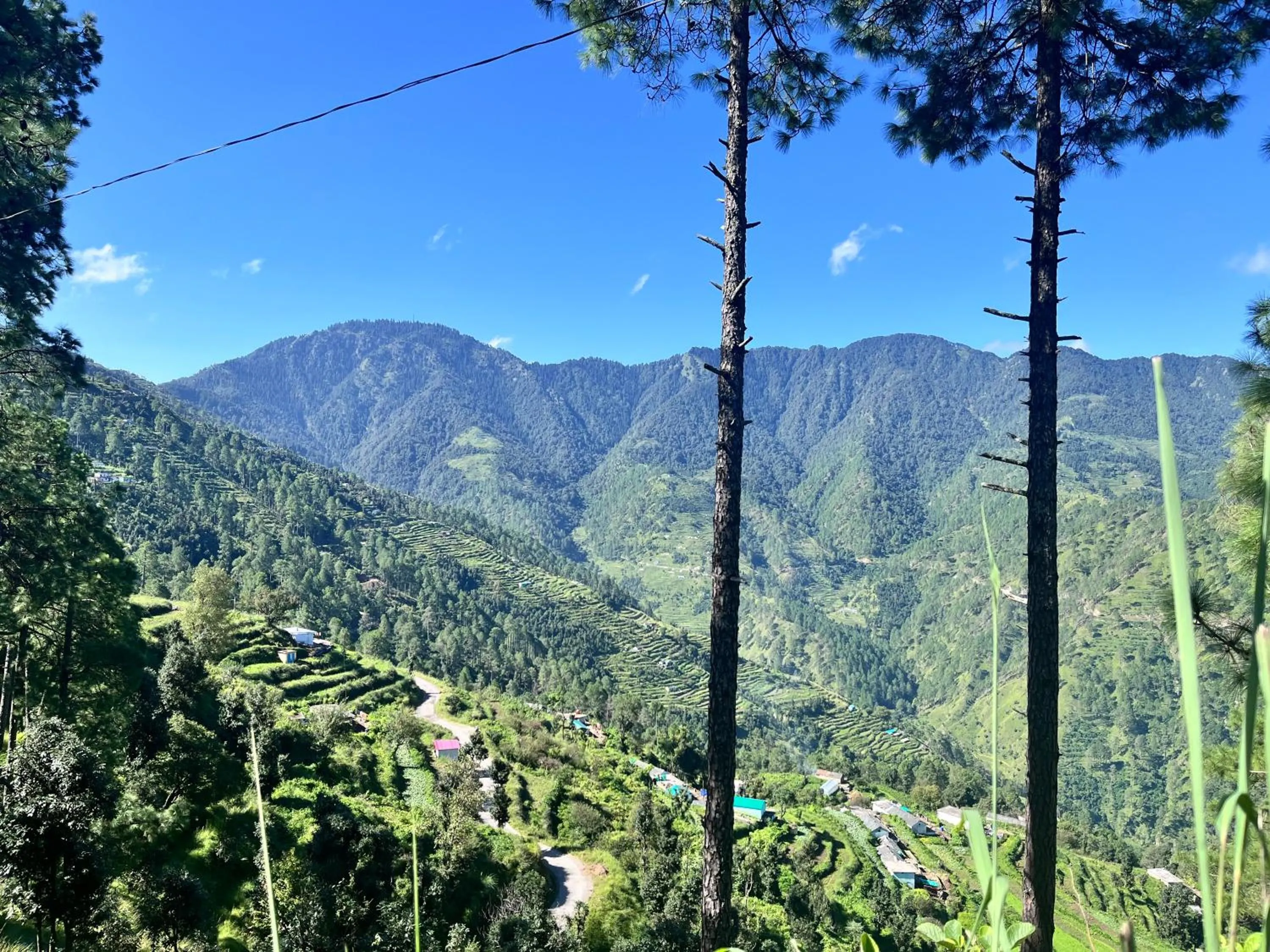 Himalayan Hill Top Resort
