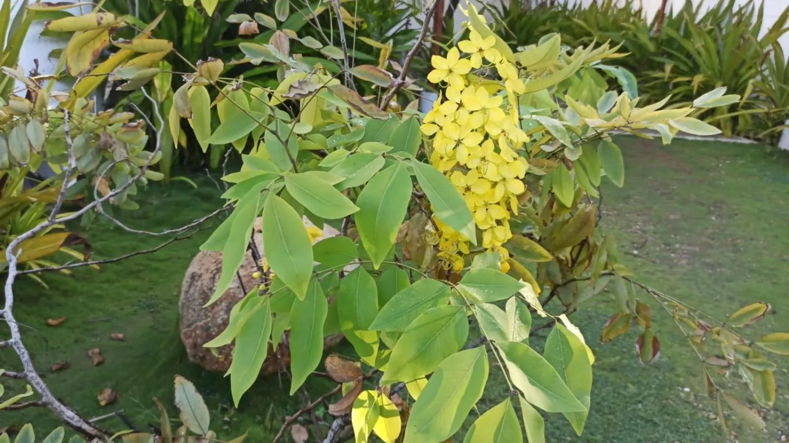 QUINTA DIAMANTE villas&hotel