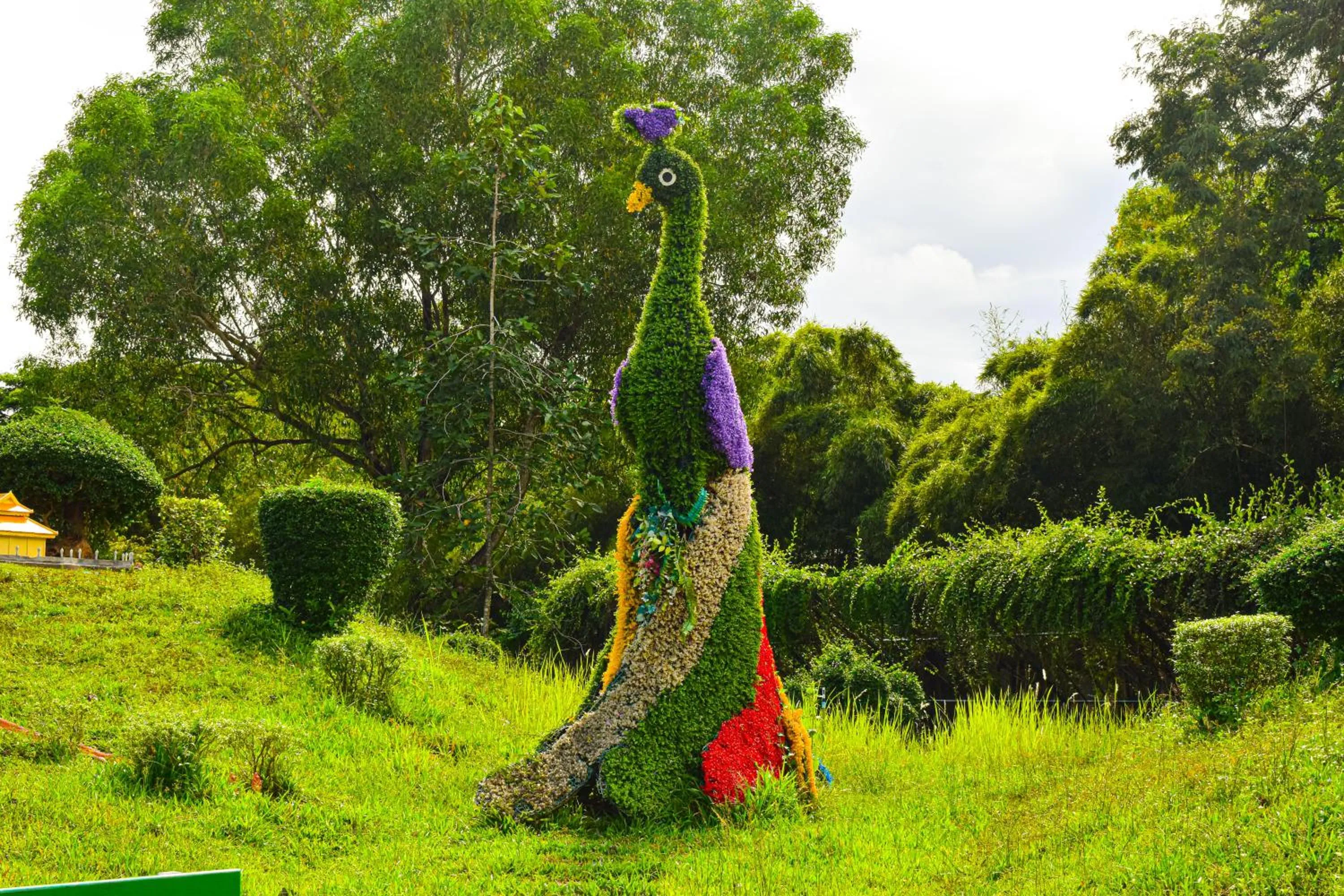 Area and facilities in Dara Express Inn by Angkor Green Gardens