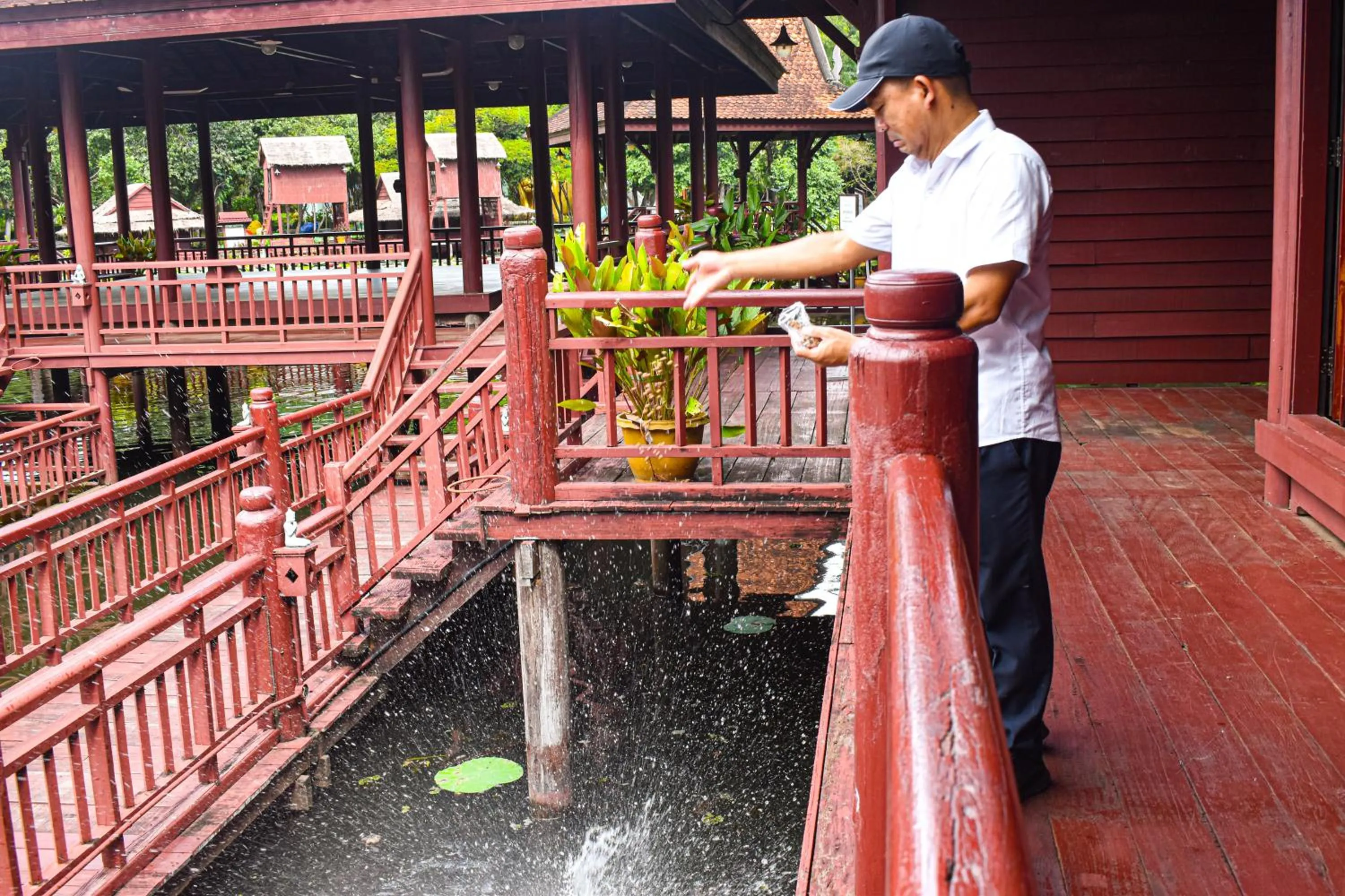 Area and facilities in Dara Express Inn by Angkor Green Gardens