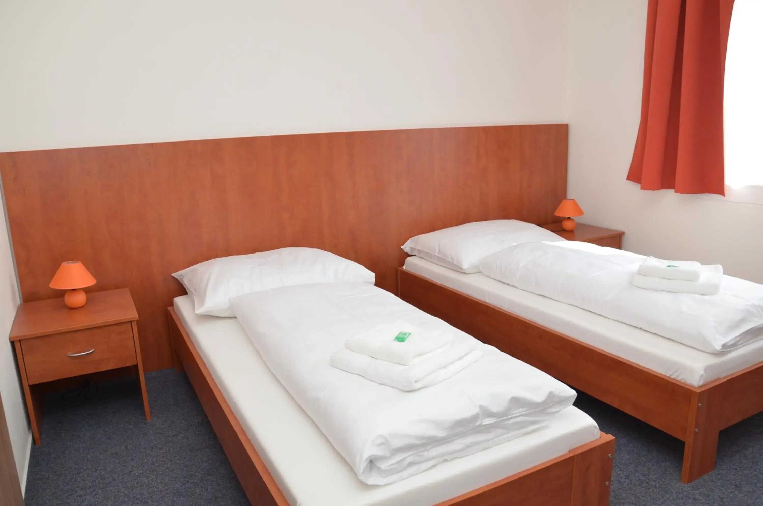Double or Twin Room - single occupancy in Hotel Růženy Double or Twin Room - single occupancy in Hotel Růženy