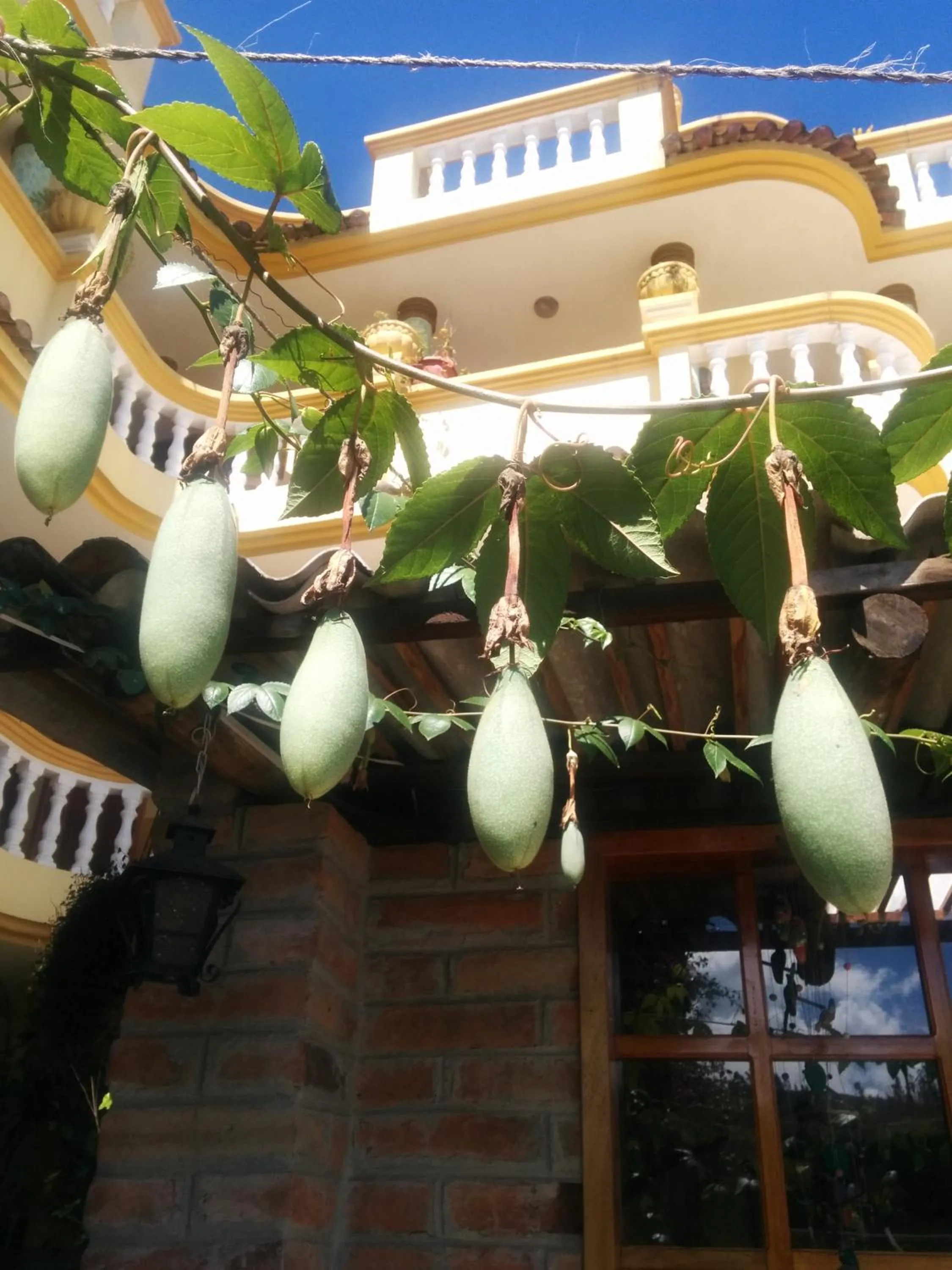 Off site in Hostal Curiñan