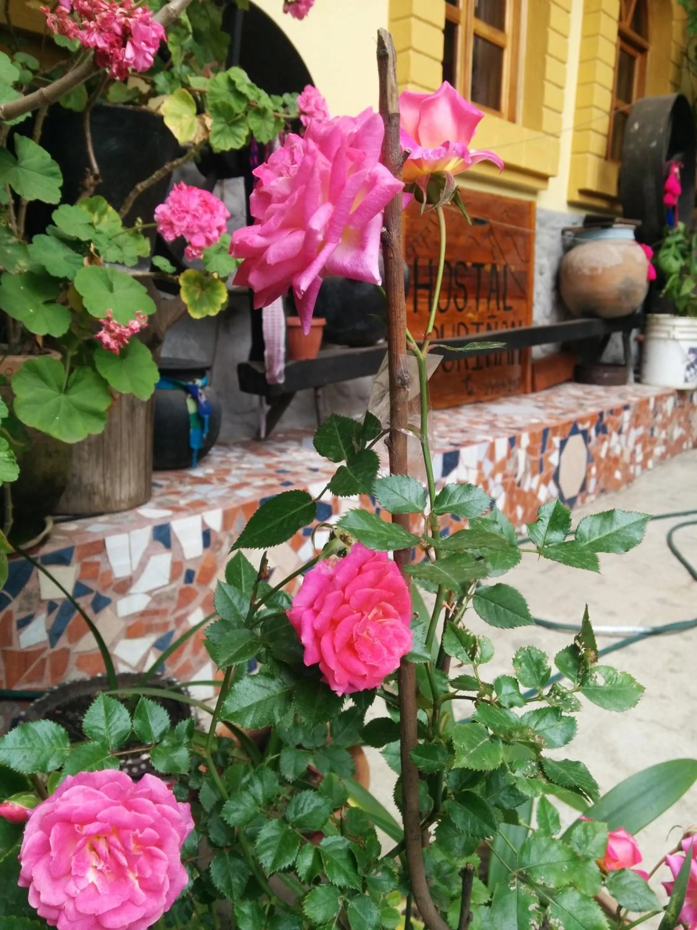 Property building in Hostal Curiñan