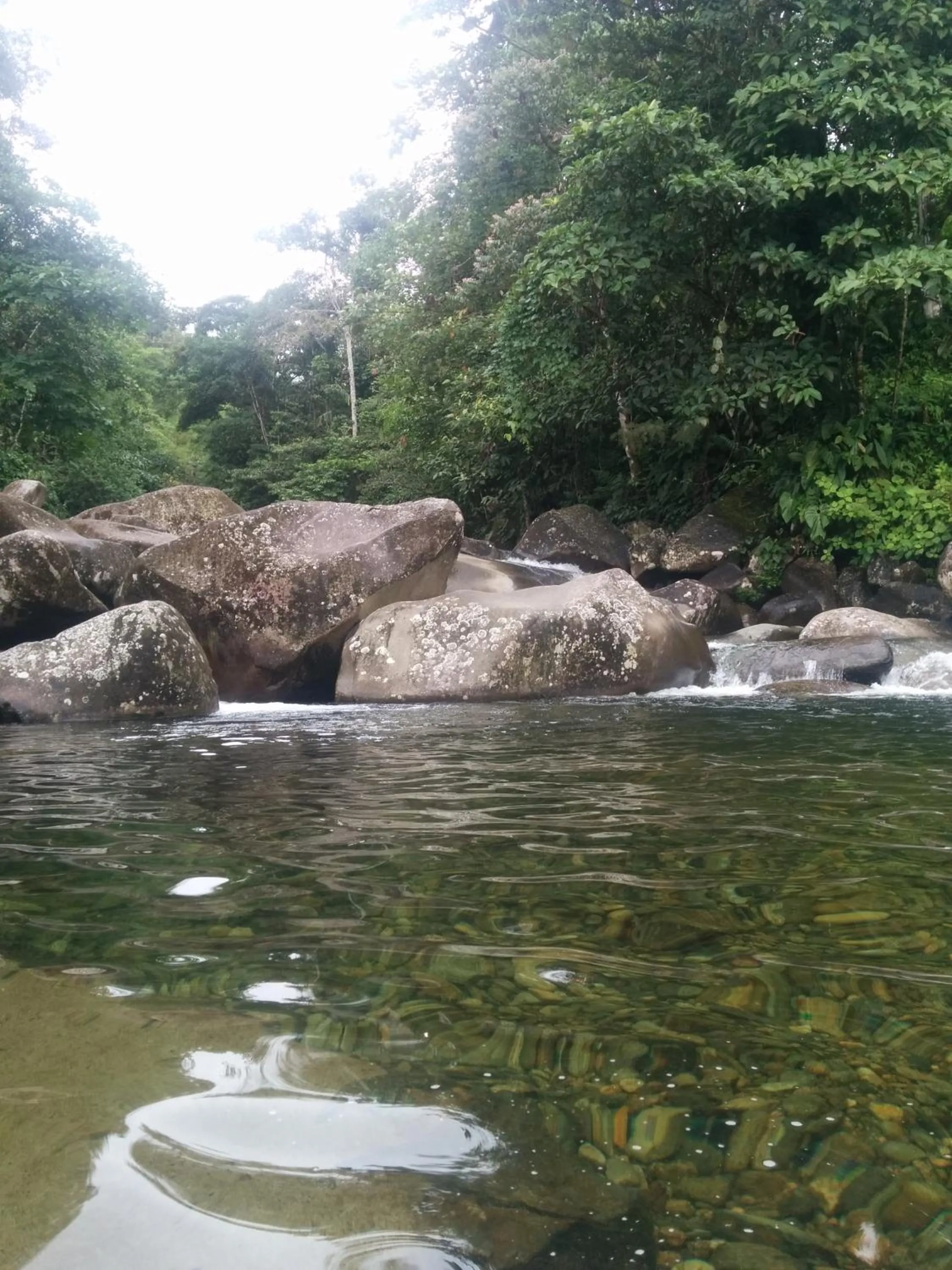 Natural landscape in Hostal Curiñan