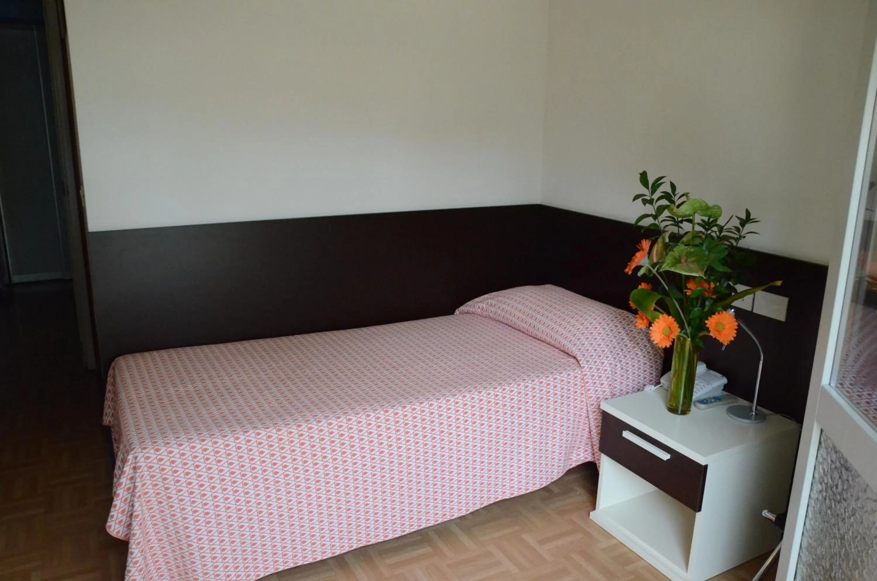 Photo of the whole room in Hotel Aspe