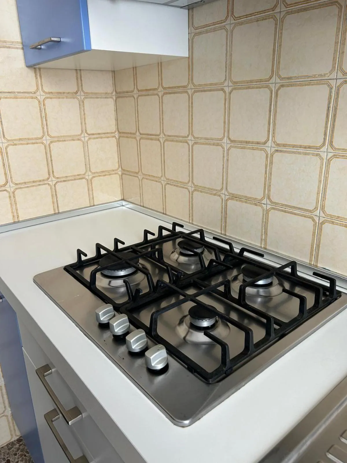 Kitchen or kitchenette in Hotel Aspe