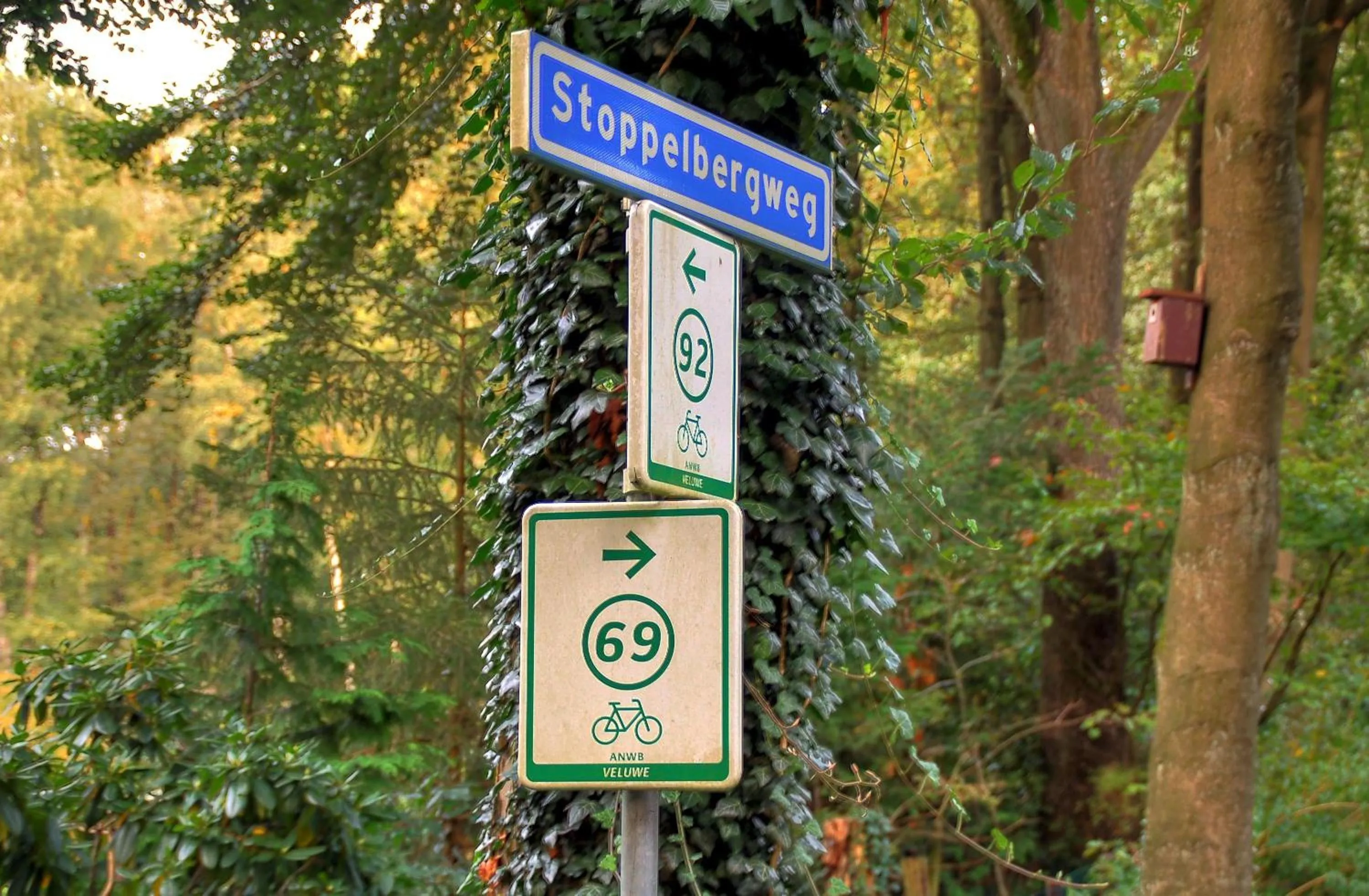Cycling in Hotel de Stoppelberg