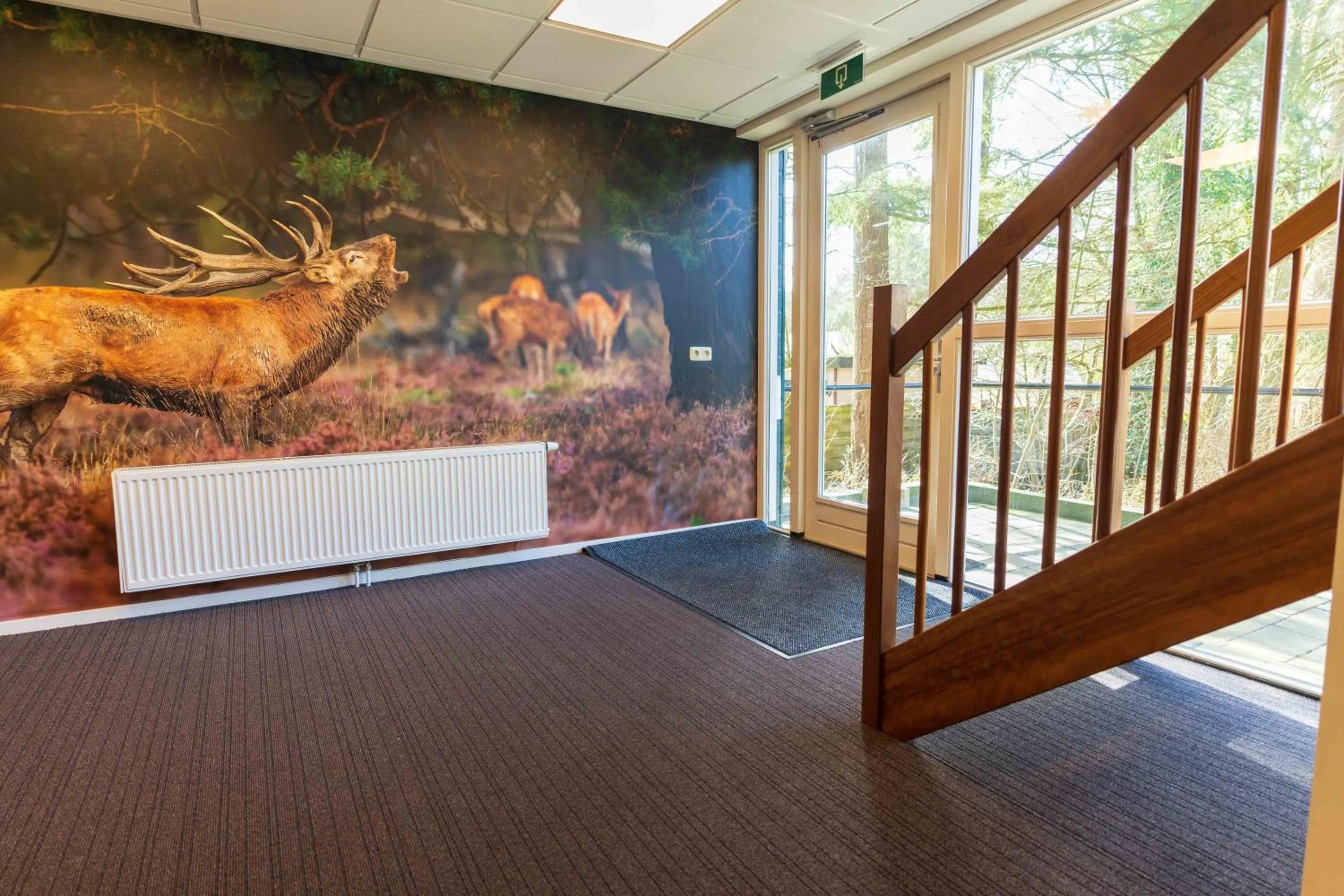 Property building in Hotel de Stoppelberg