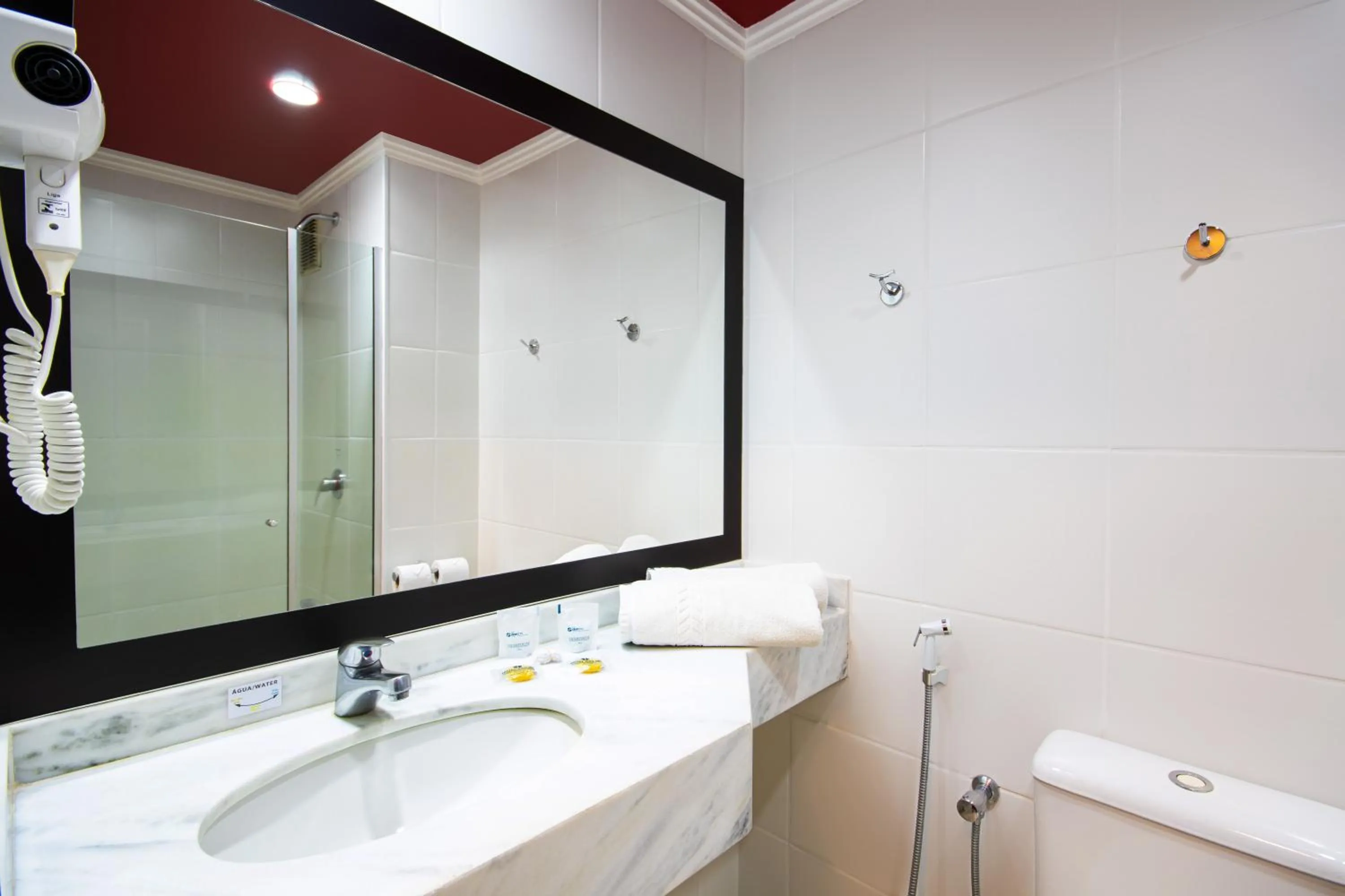 Bathroom in Hotel Dan Inn São Carlos By Nacional Inn