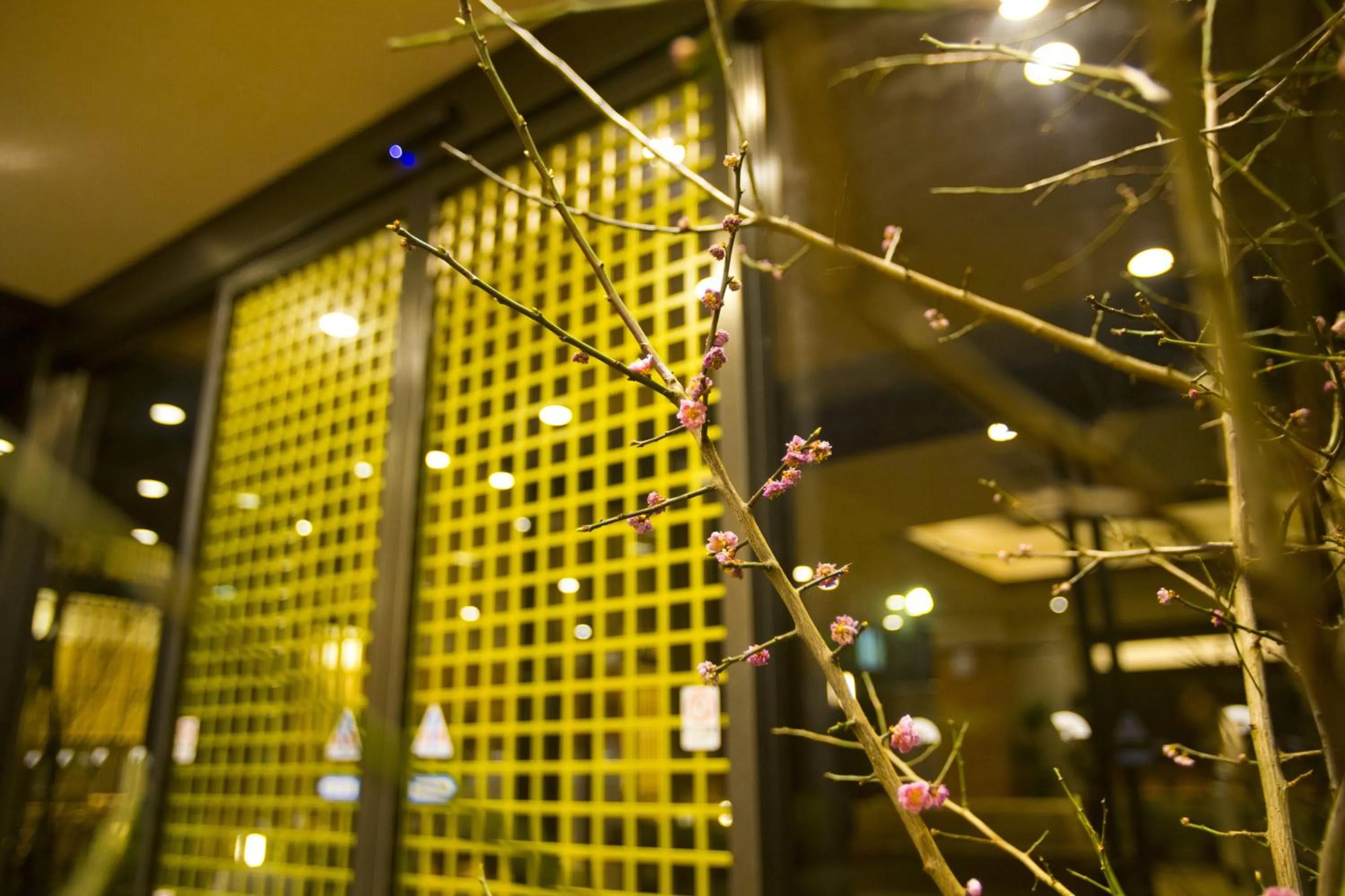 Lobby or reception in Fukuchiyama Sun Hotel