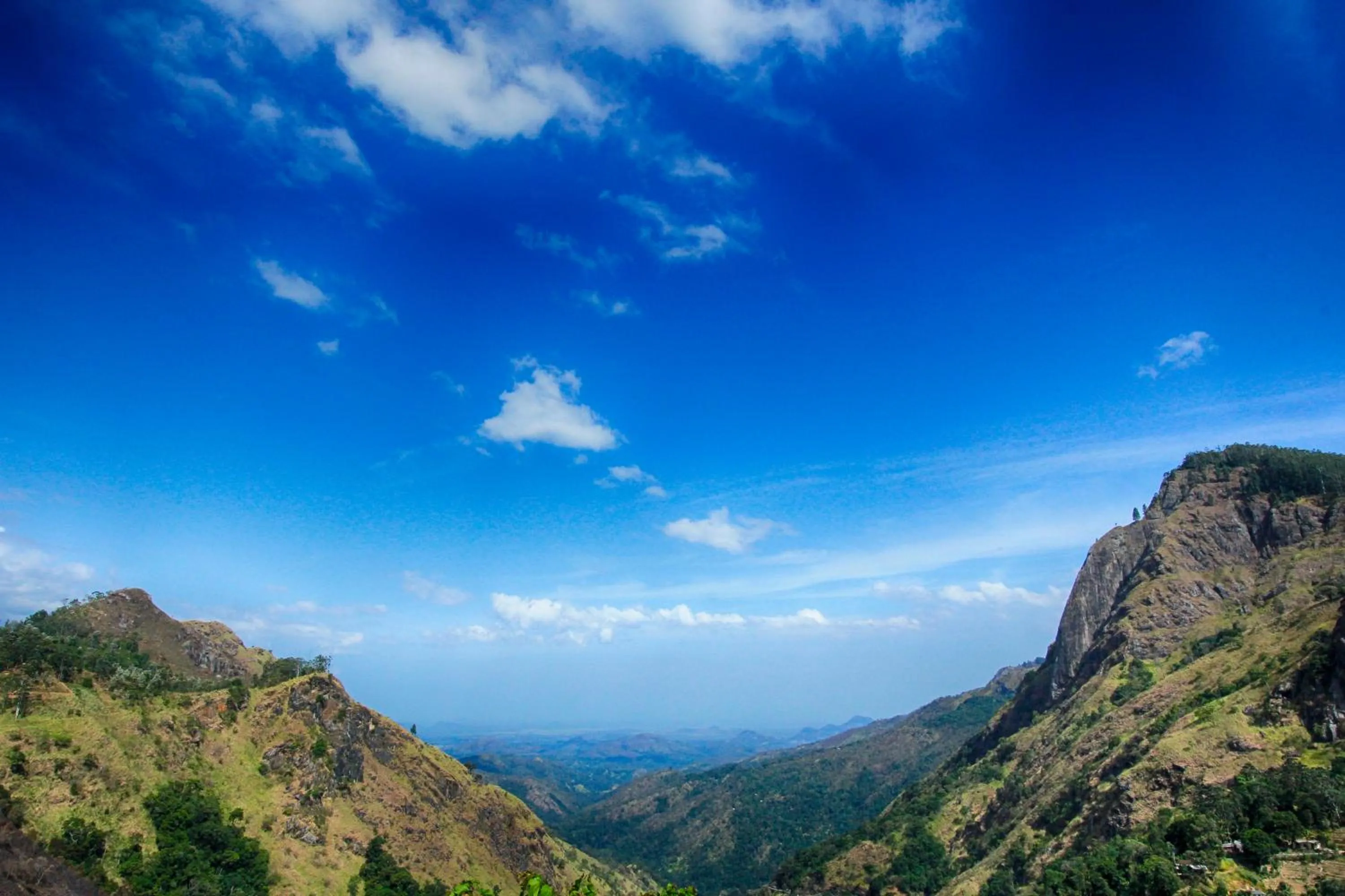 Restaurant/places to eat in Green Hill