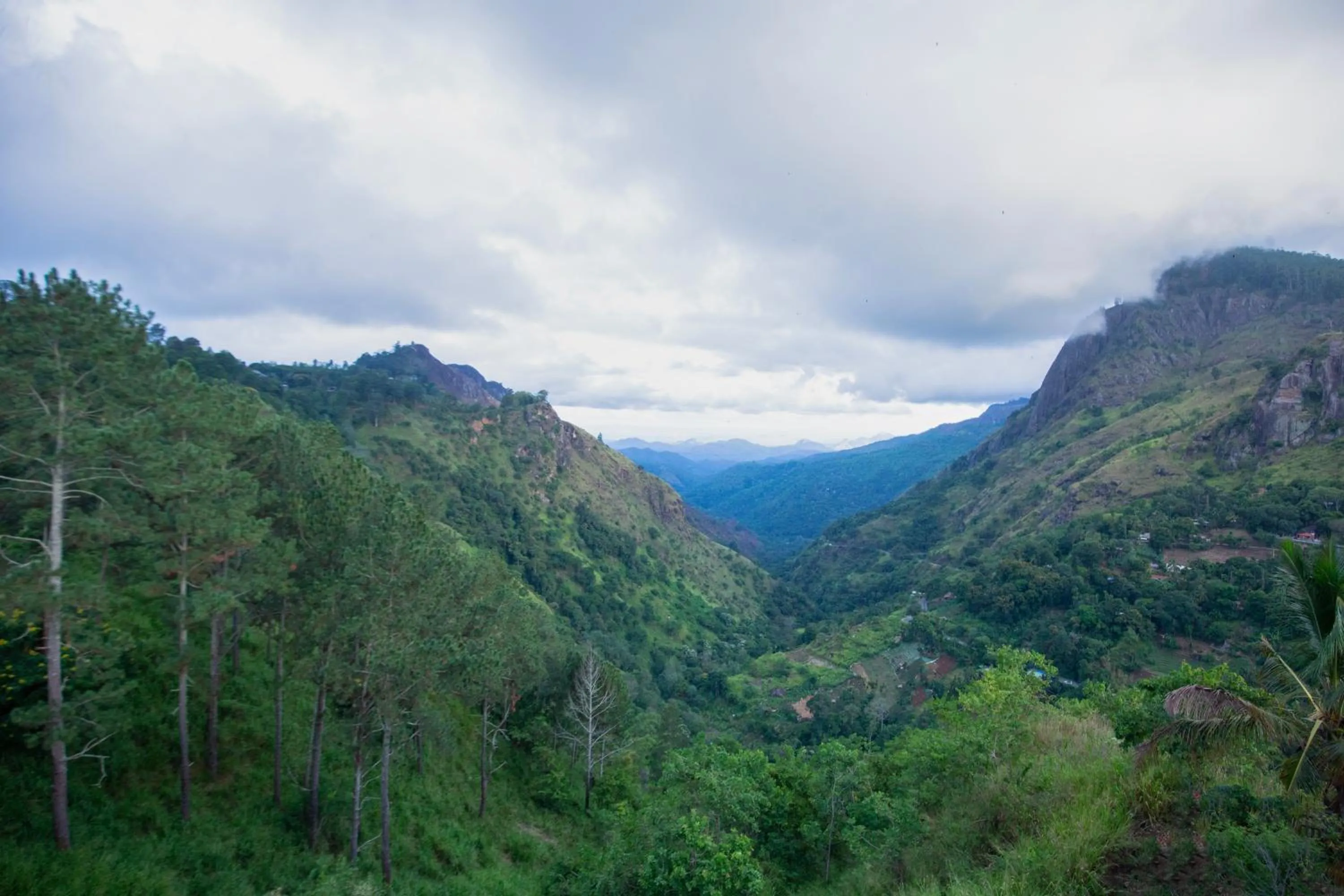 Location in Green Hill