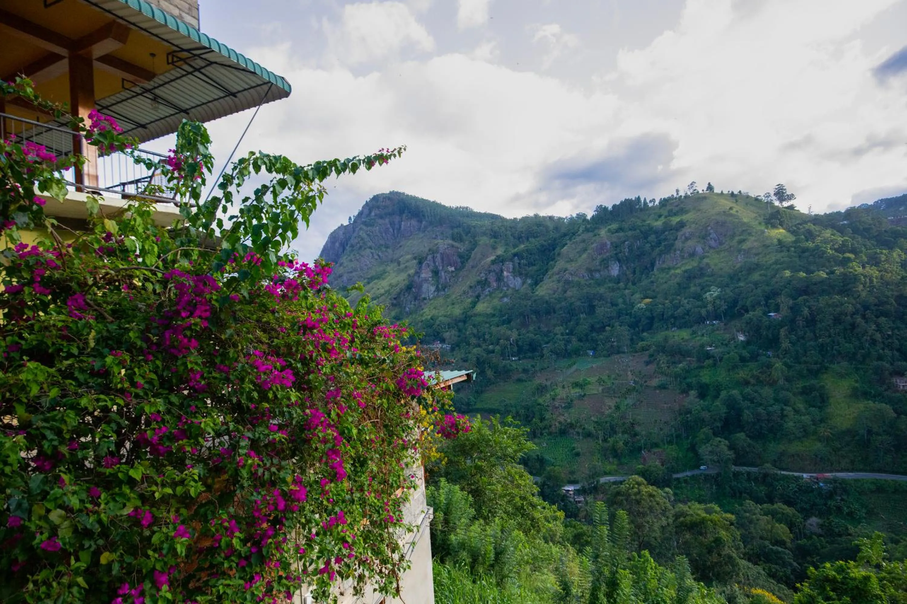 Location in Green Hill