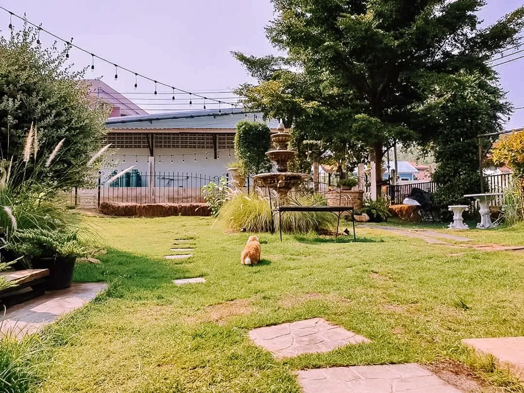 Garden in The Castello Resort