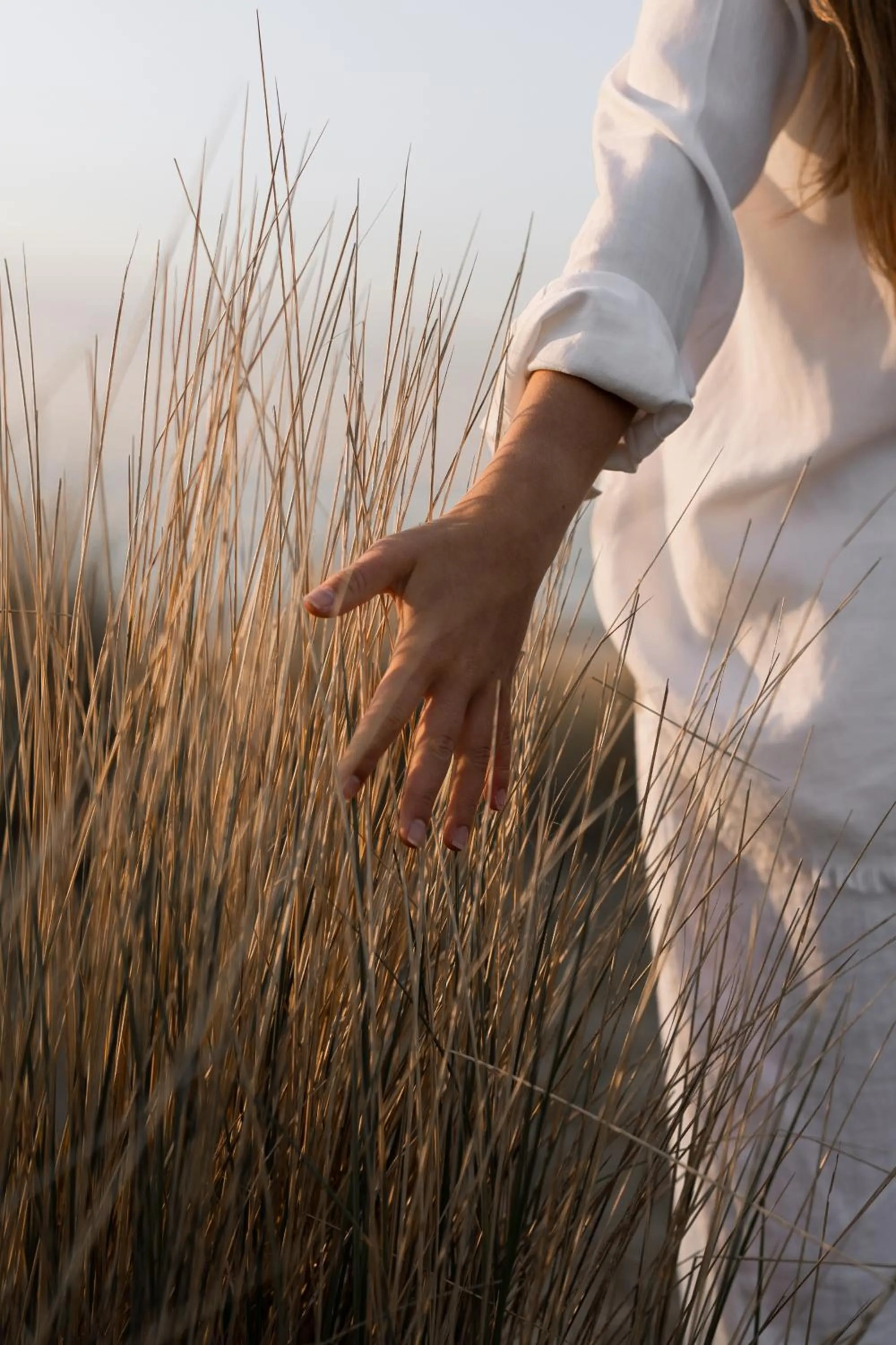 Natural landscape in Noordzee, Hotel & Spa