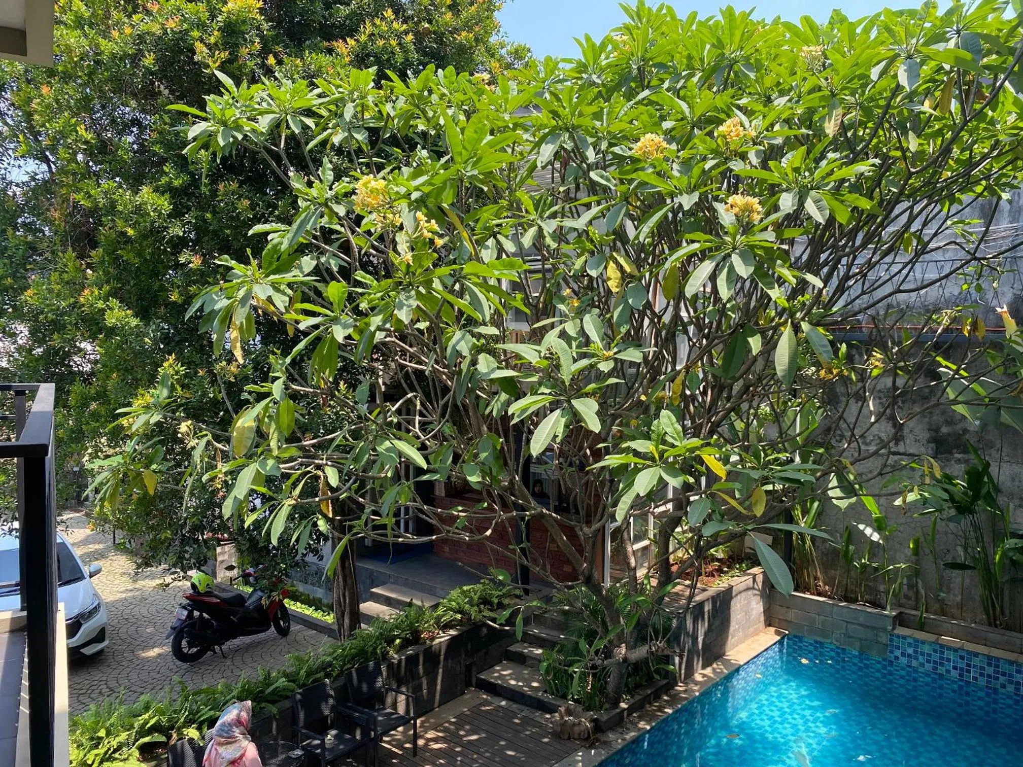Swimming pool in Regato Suites