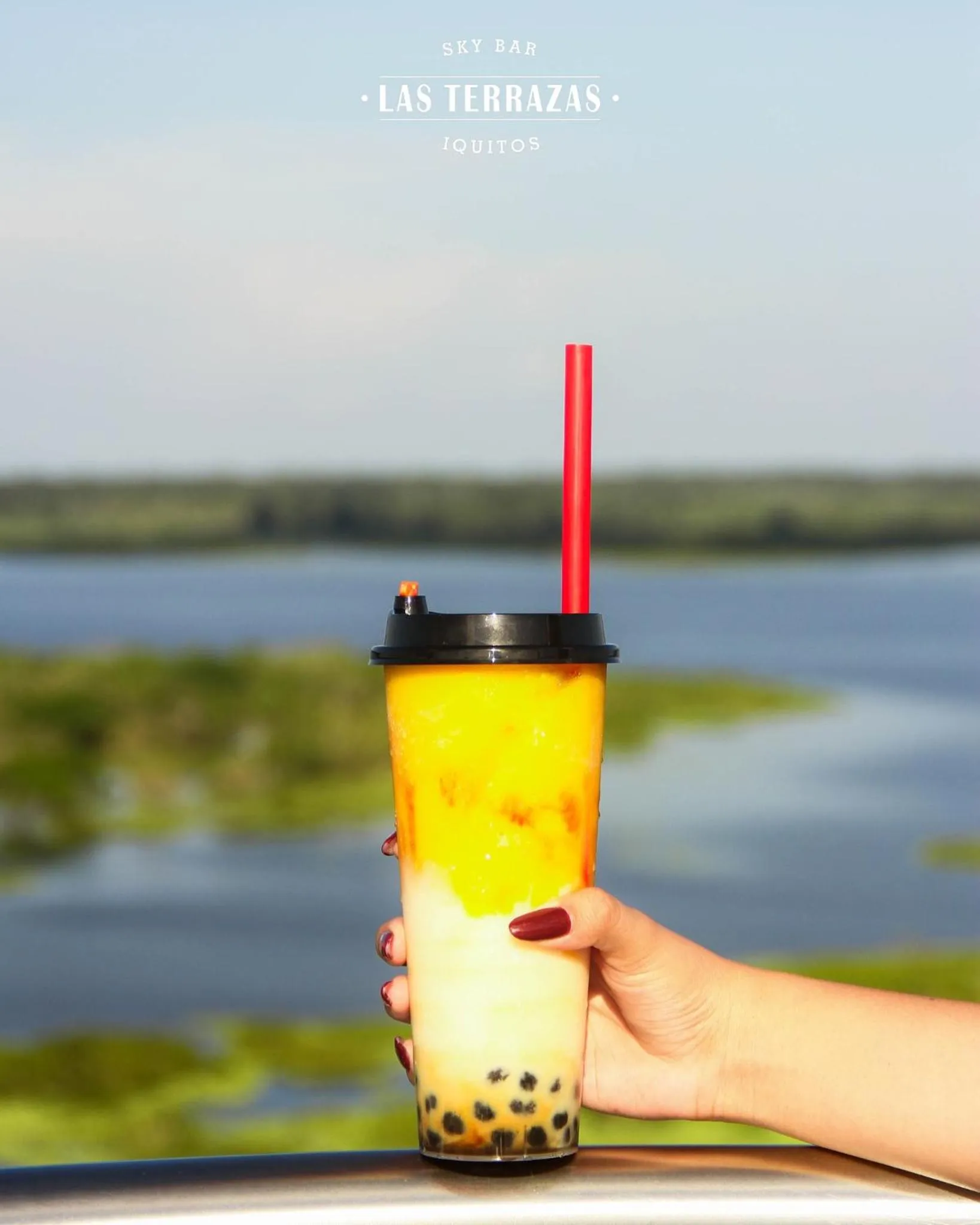 Natural landscape in Hotel de Turistas Iquitos