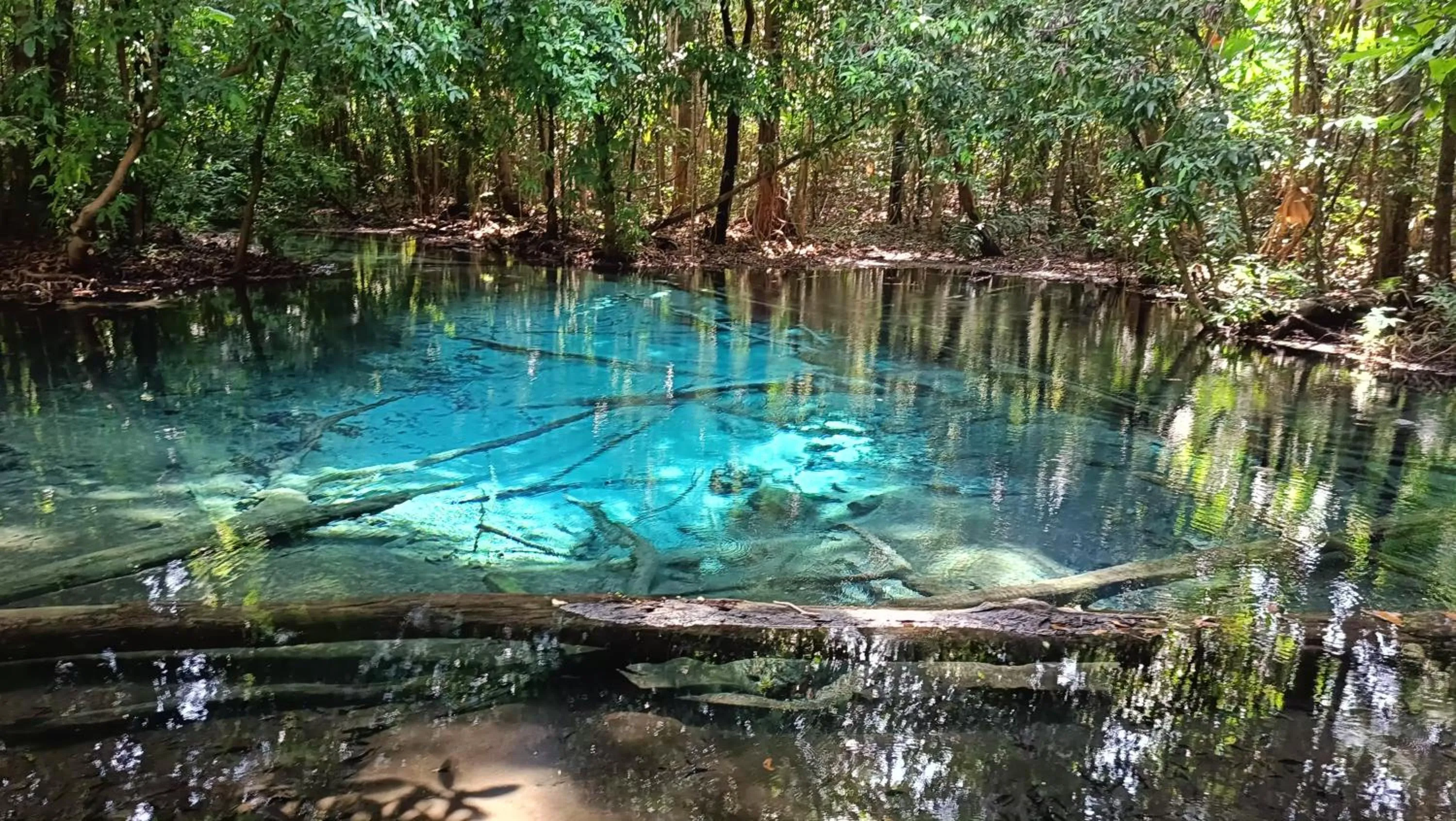 Brown Andaman Krabi