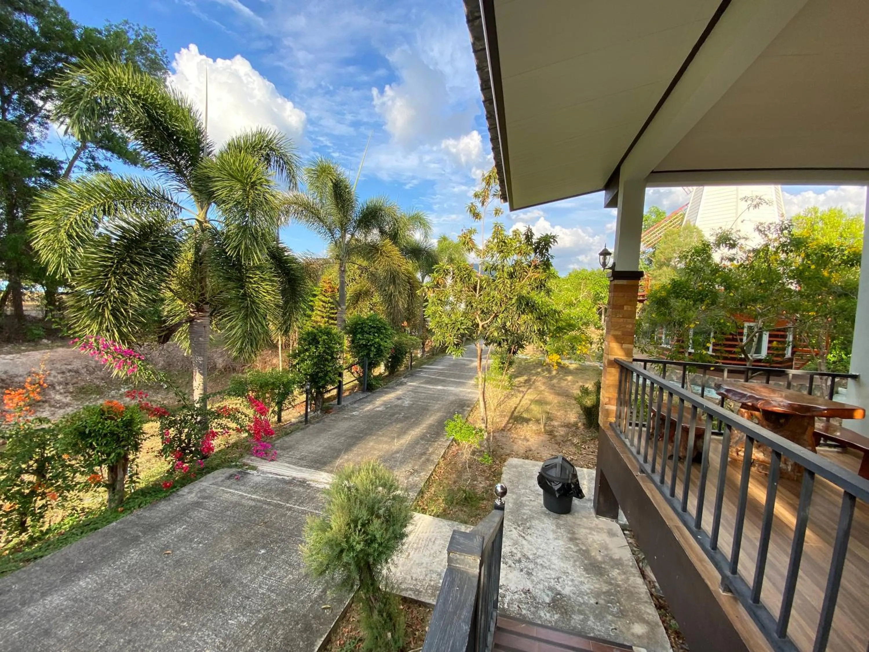 Brown Andaman Krabi