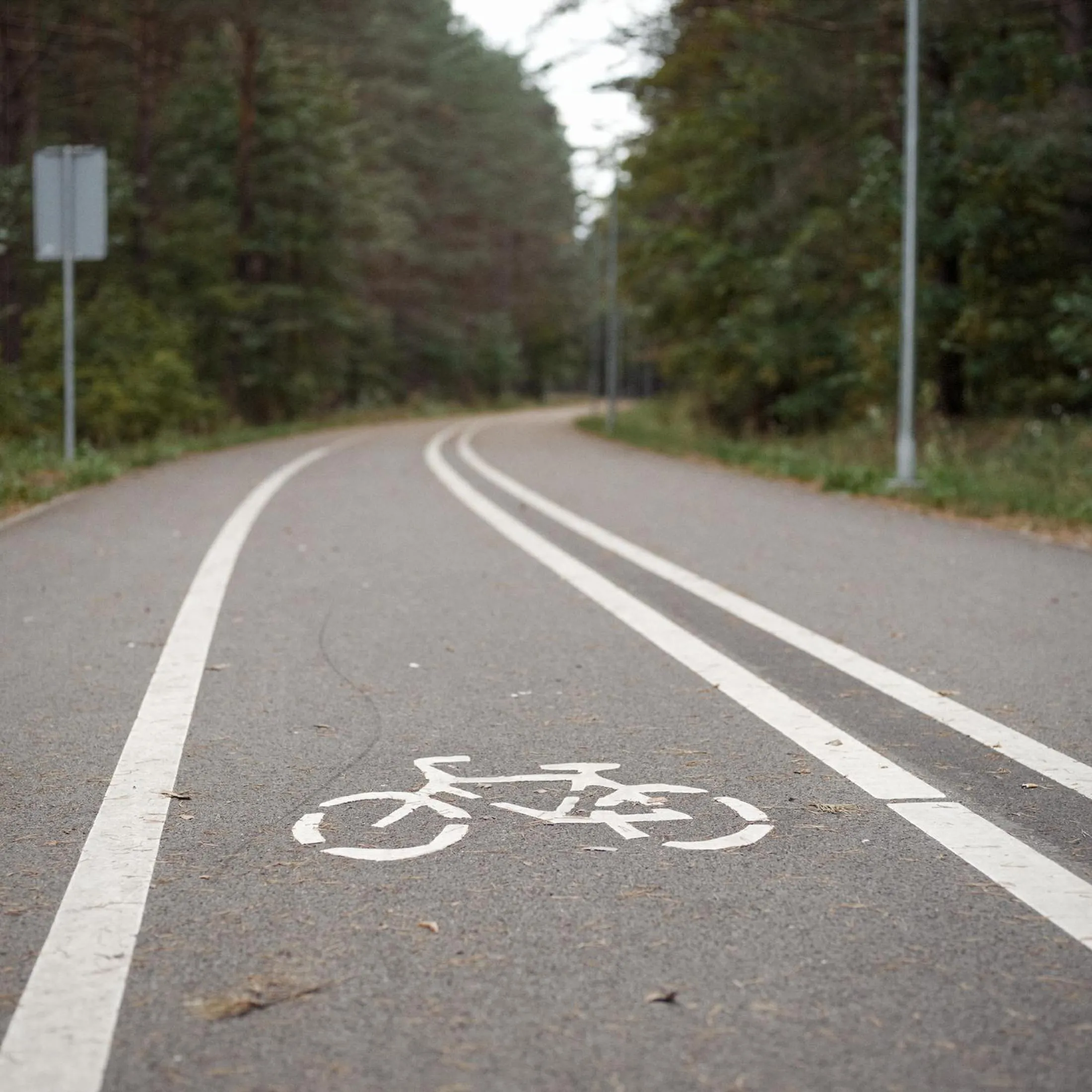Cycling in Domi Lini