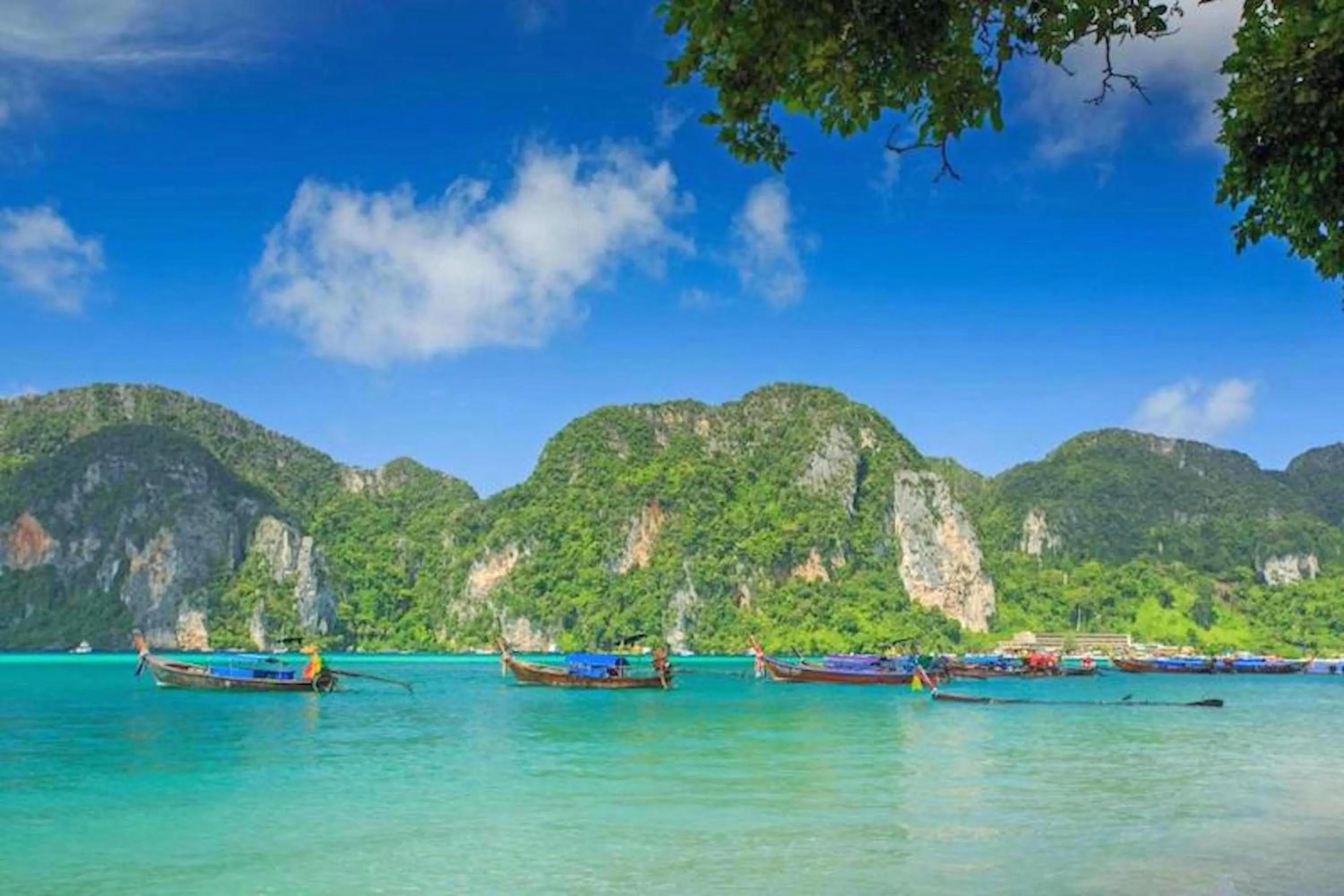 Natural landscape in The Cobble Beach Hotel- Phi Phi Island