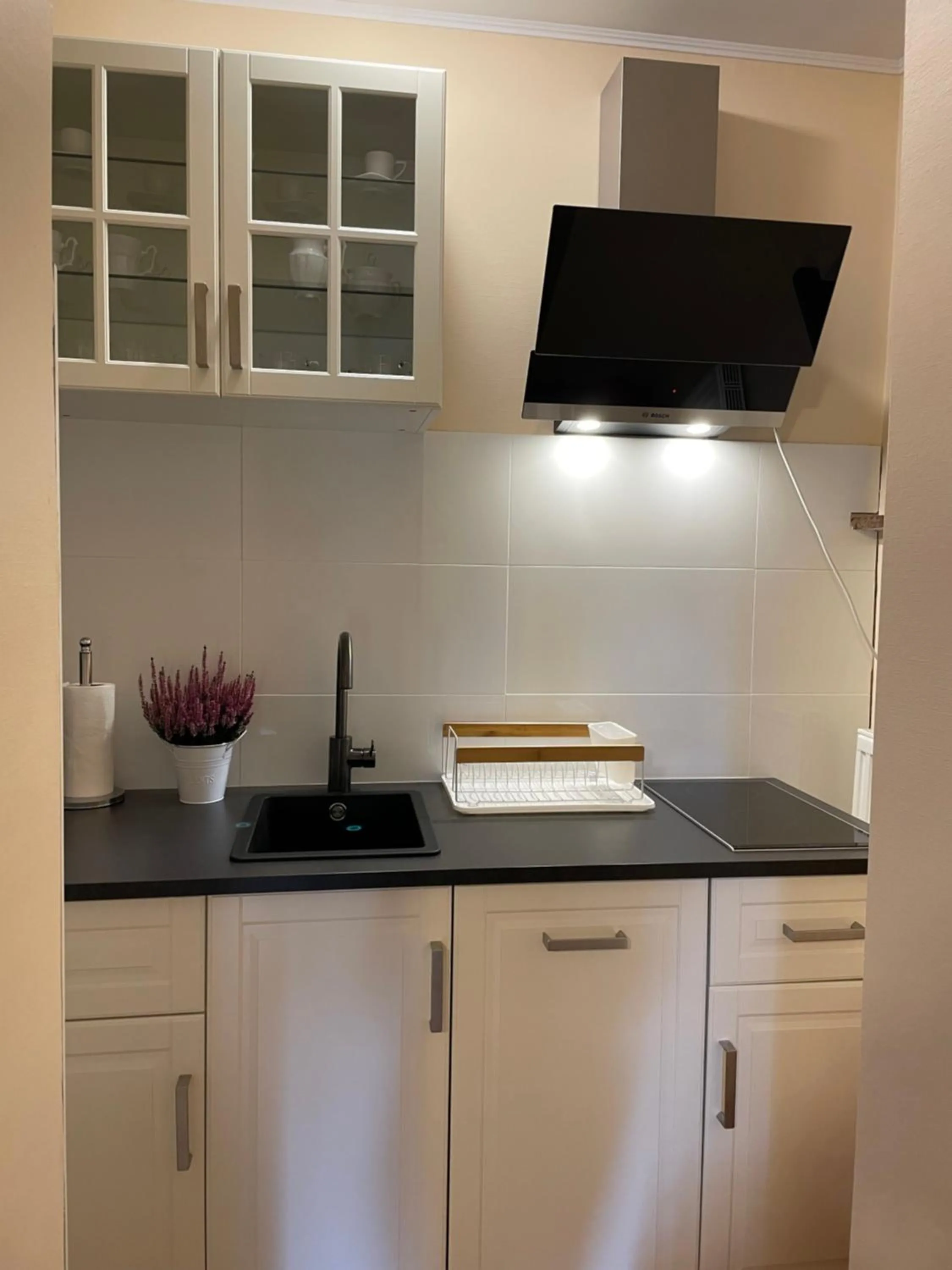 Kitchen or kitchenette in Mon Plaisir