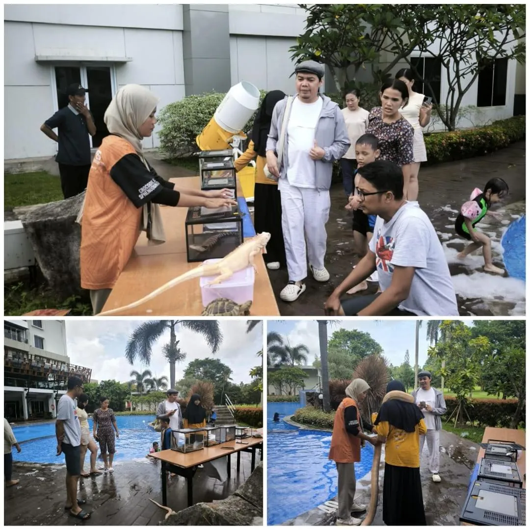 Swimming pool in The Royale Krakatau