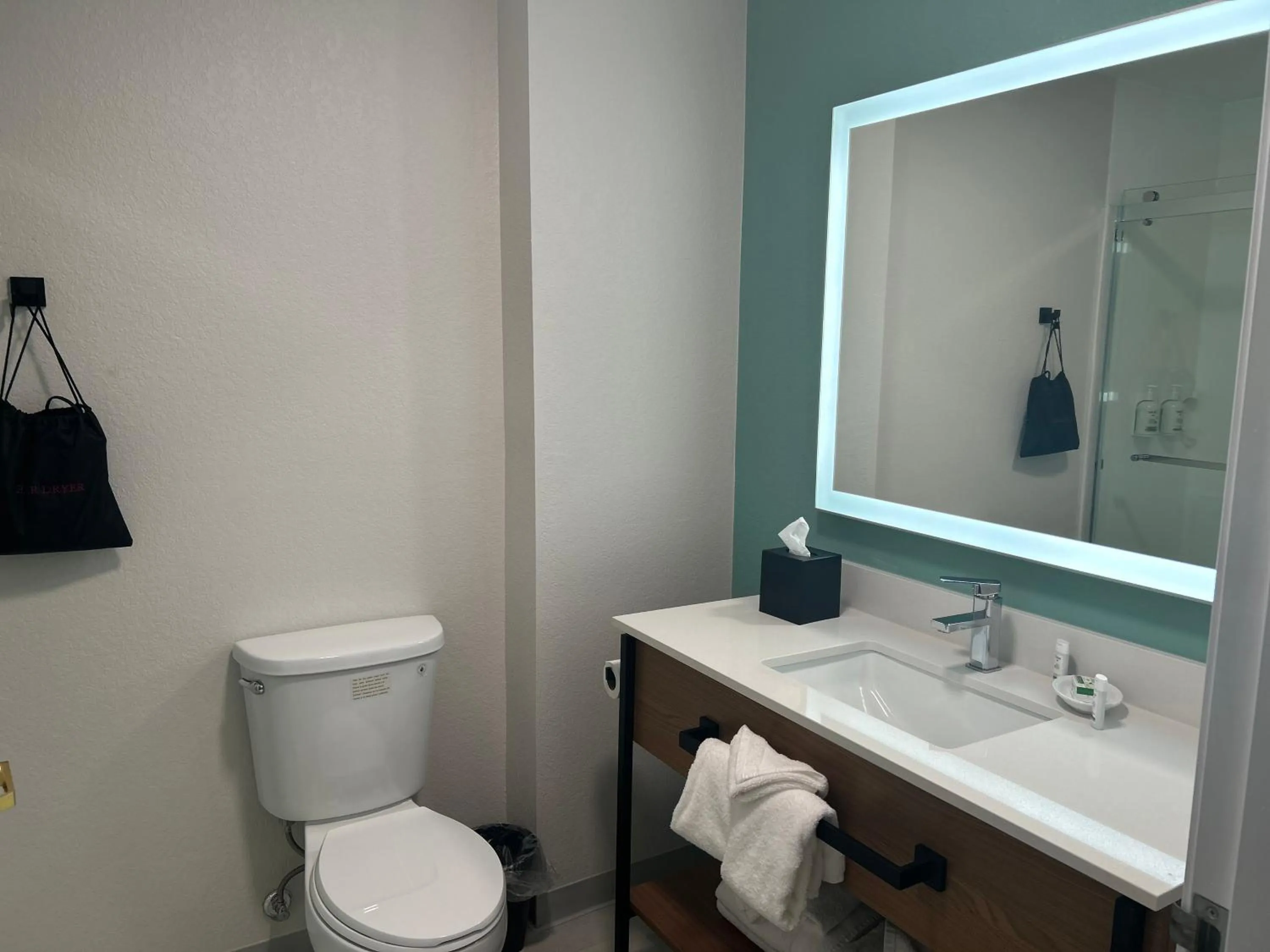 Bathroom in Wingate By Wyndham Mansfield Ontario