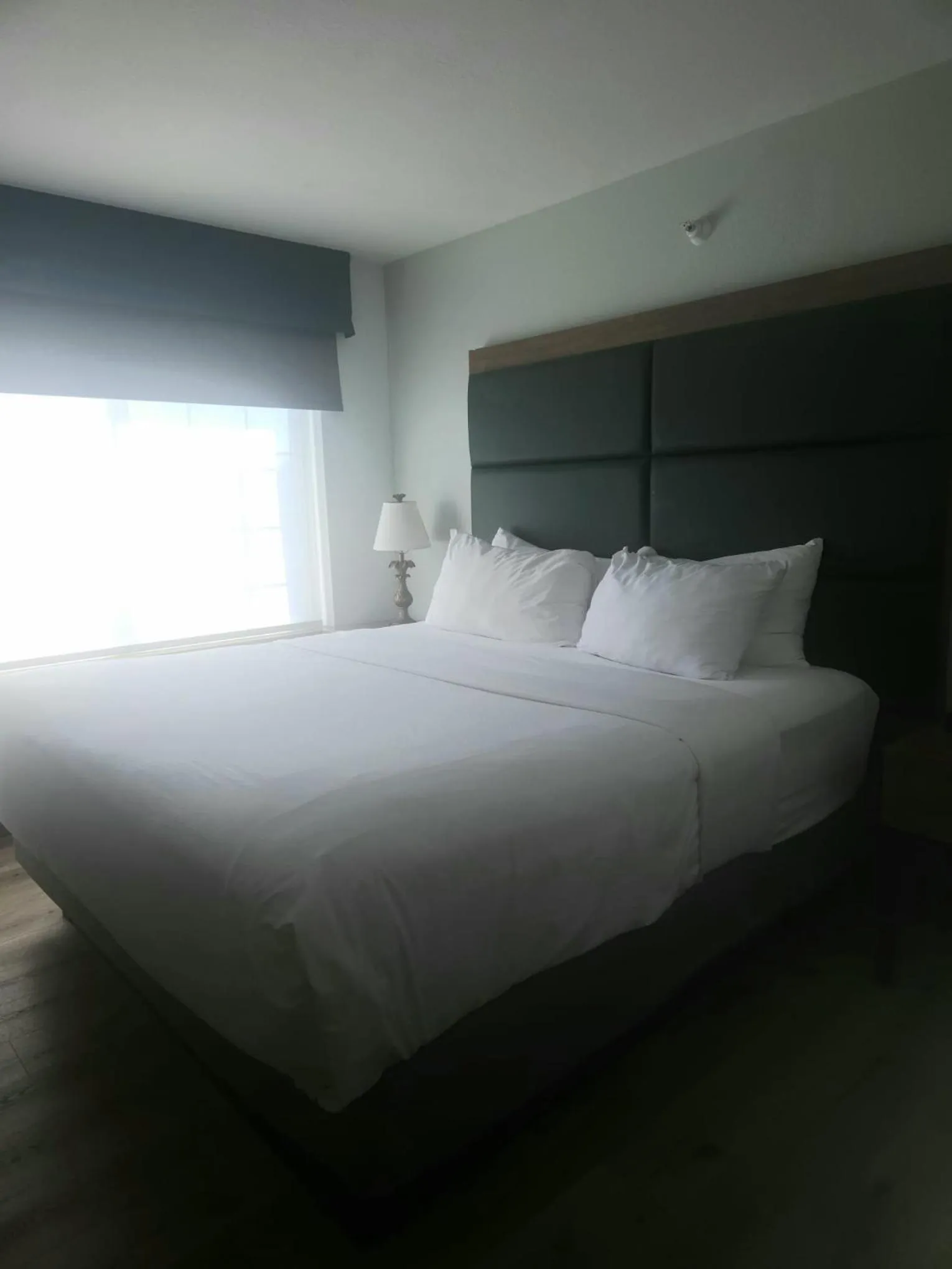 Bedroom, Bed in Wingate by Wyndham Youngstown - Austintown