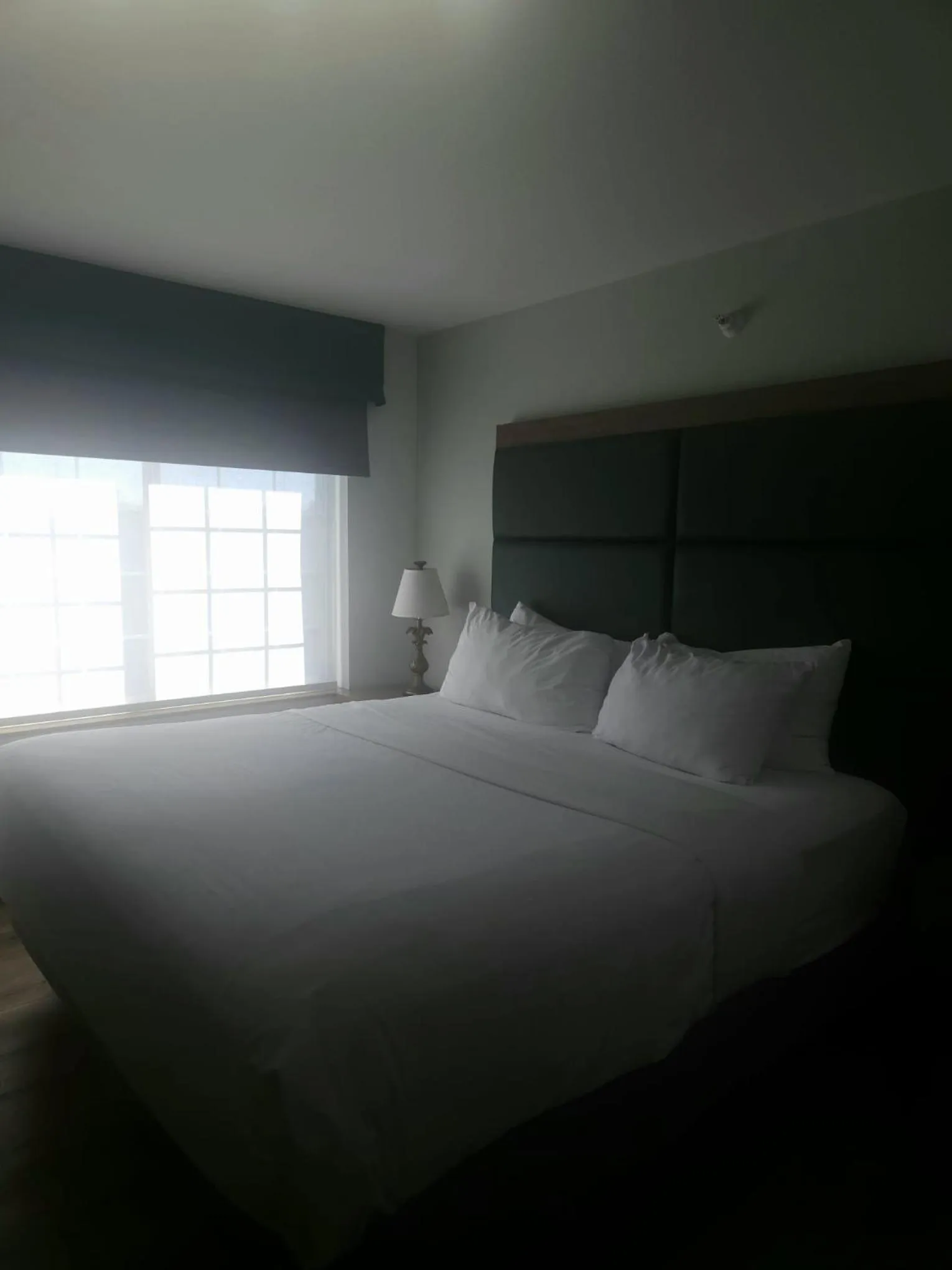 Bedroom, Bed in Wingate by Wyndham Youngstown - Austintown