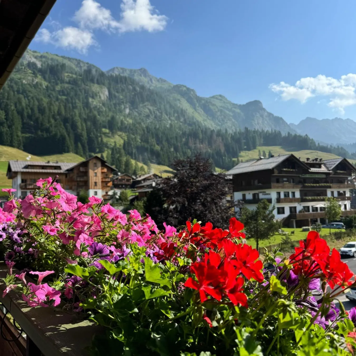 View (from property/room) in Hotel Sport