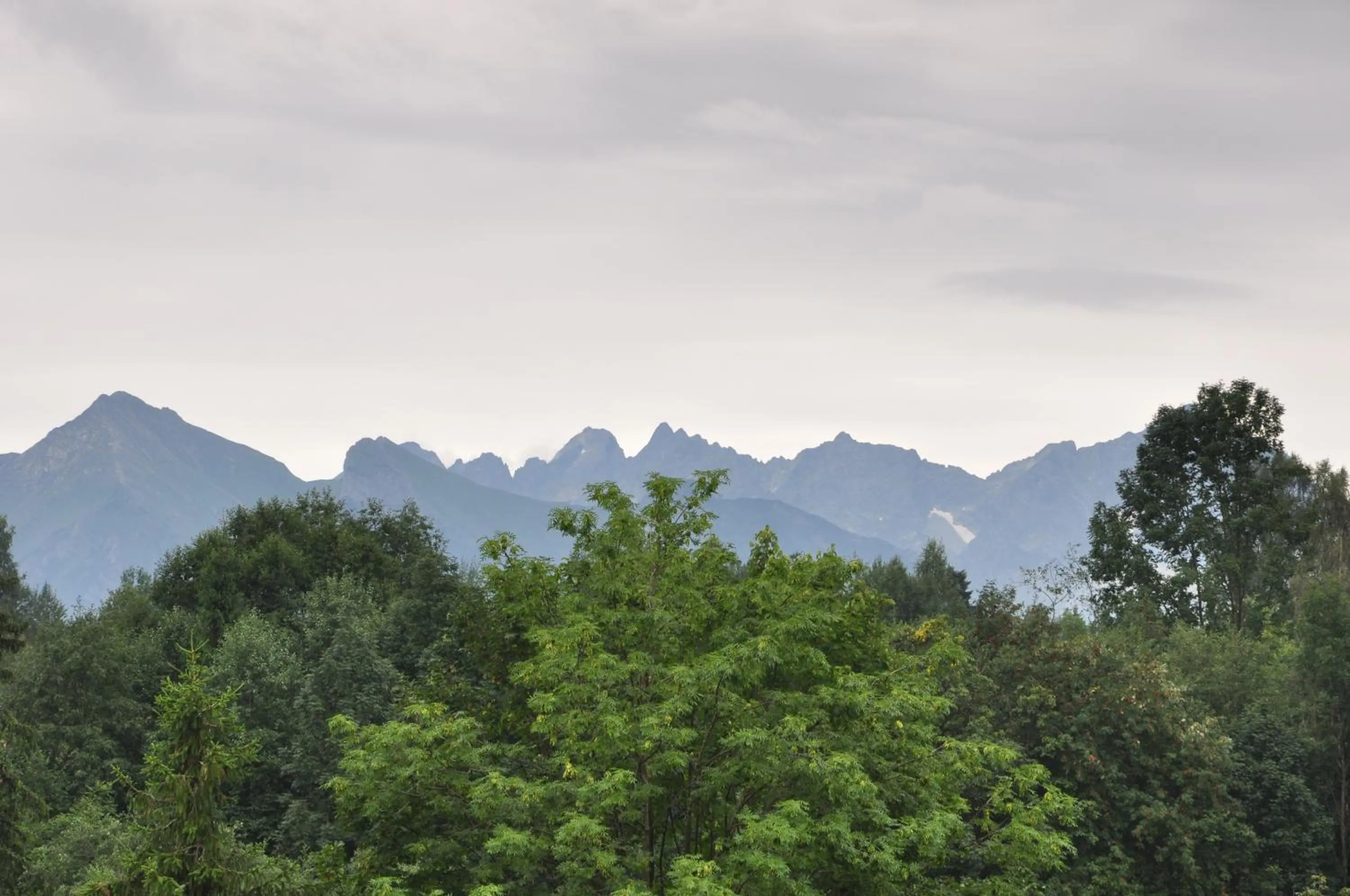 View (from property/room) in Pokoje gościnne u Komperdow pod wyciągiem narciarskim Kaniowka