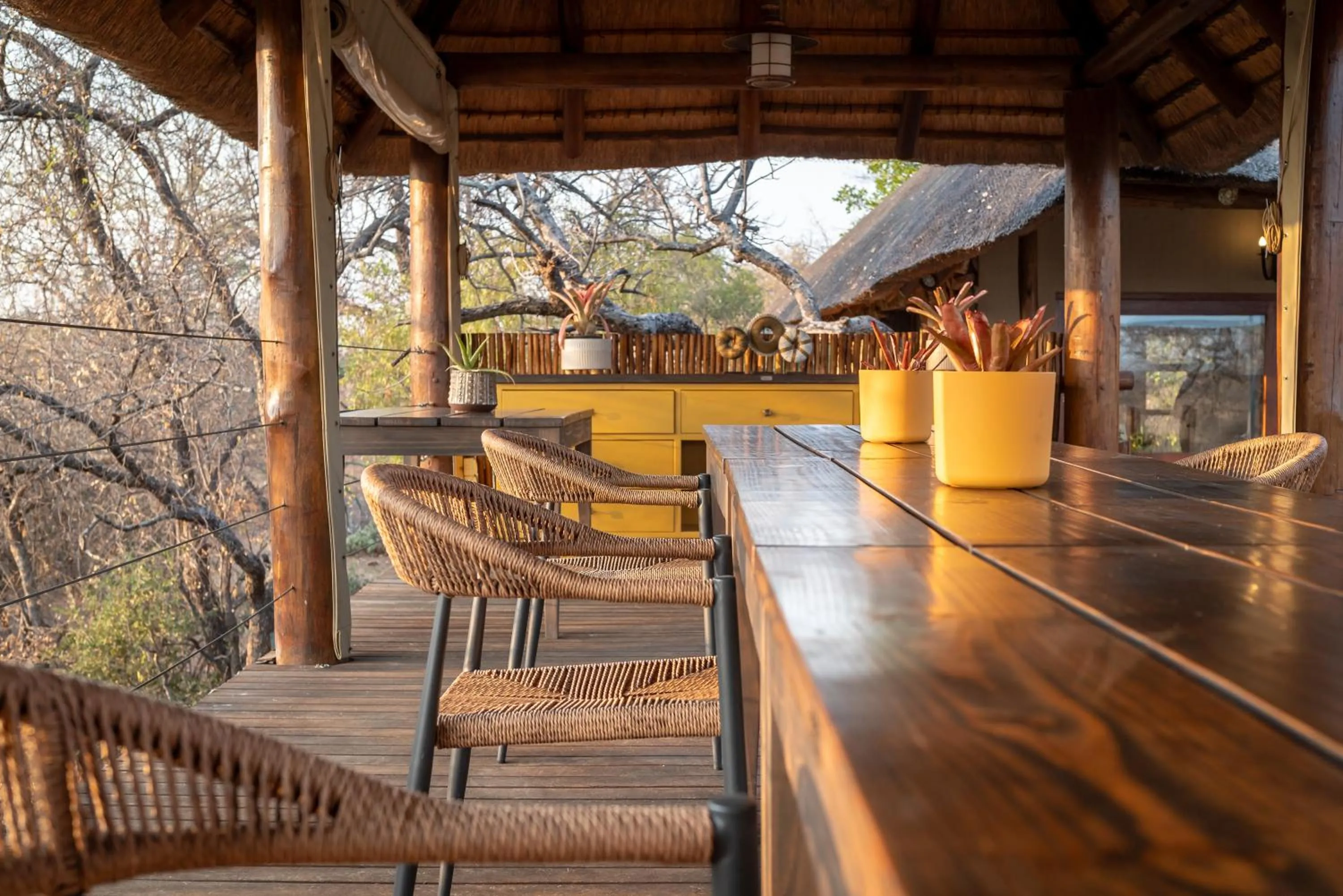 Property building in Sausage Tree Safari Camp