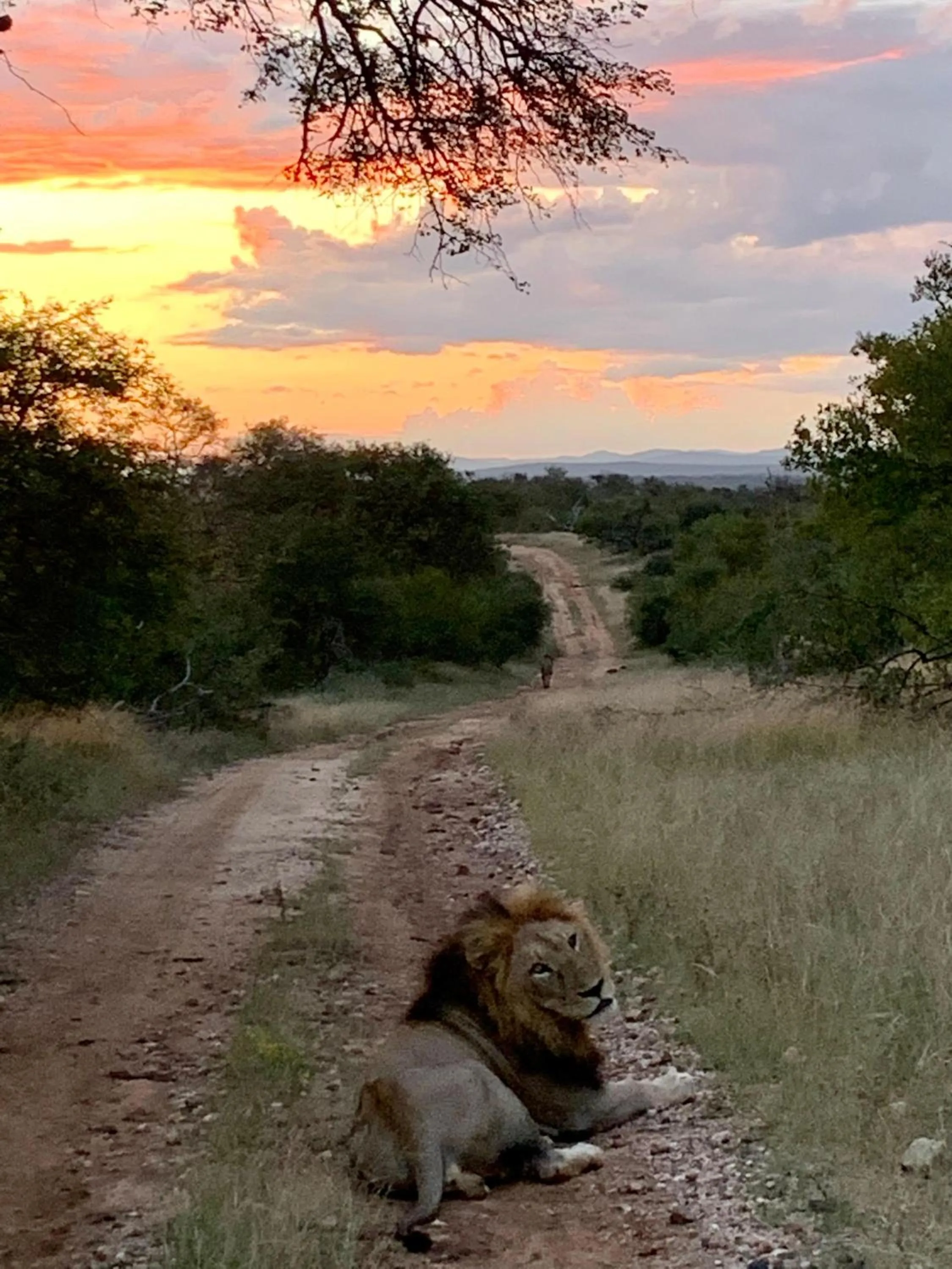 Activities in Sausage Tree Safari Camp