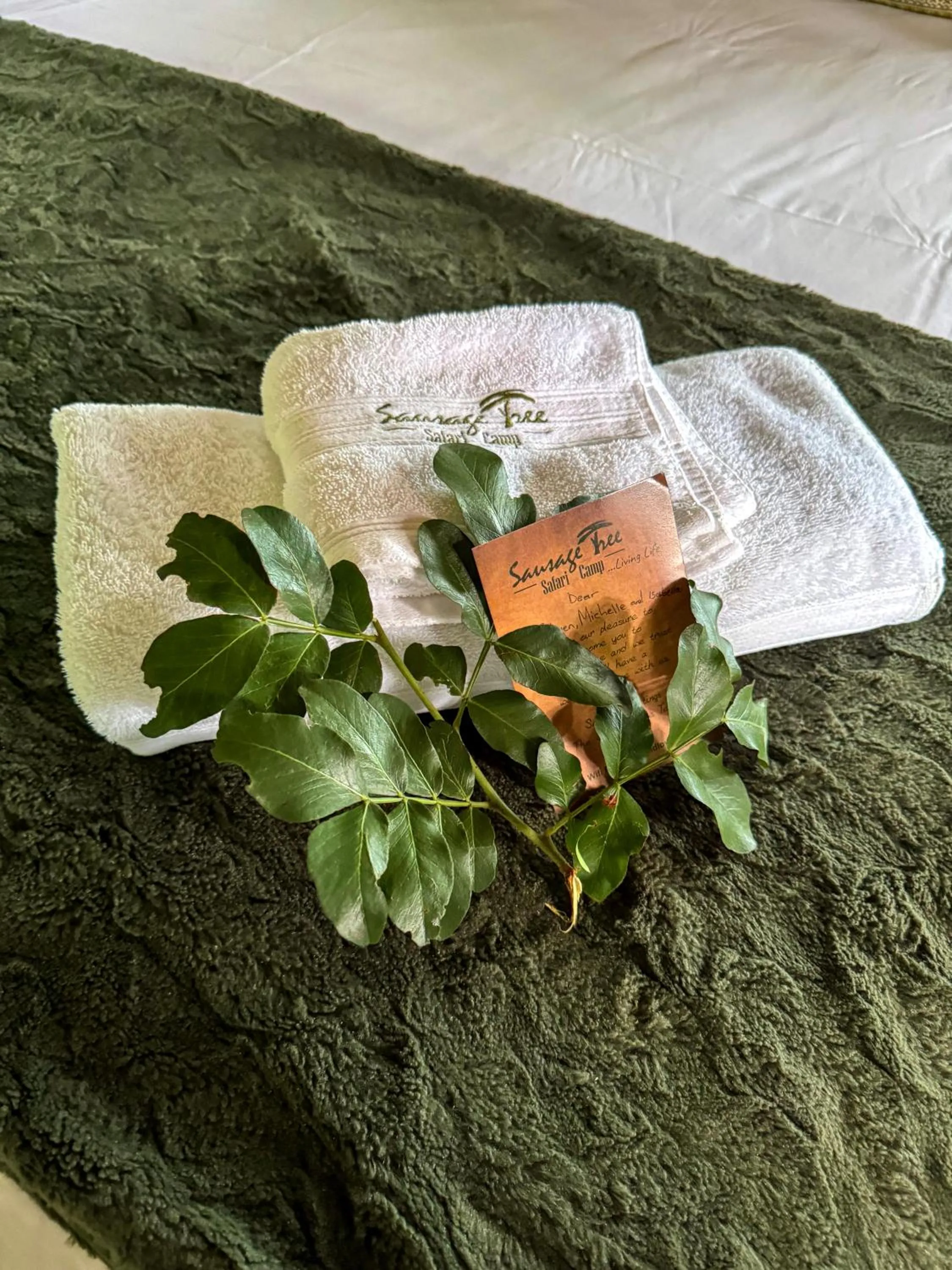 Decorative detail in Sausage Tree Safari Camp