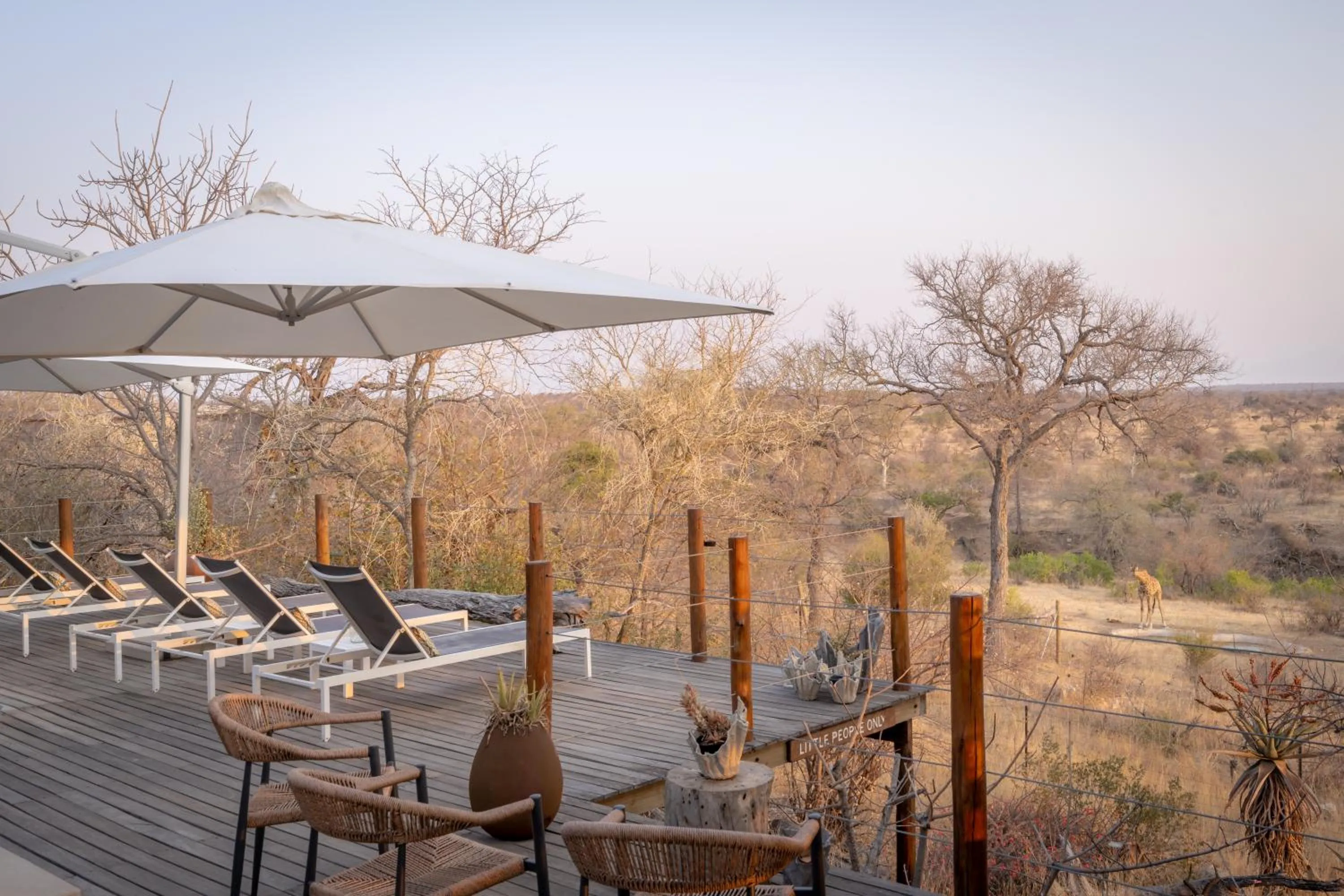 Day in Sausage Tree Safari Camp