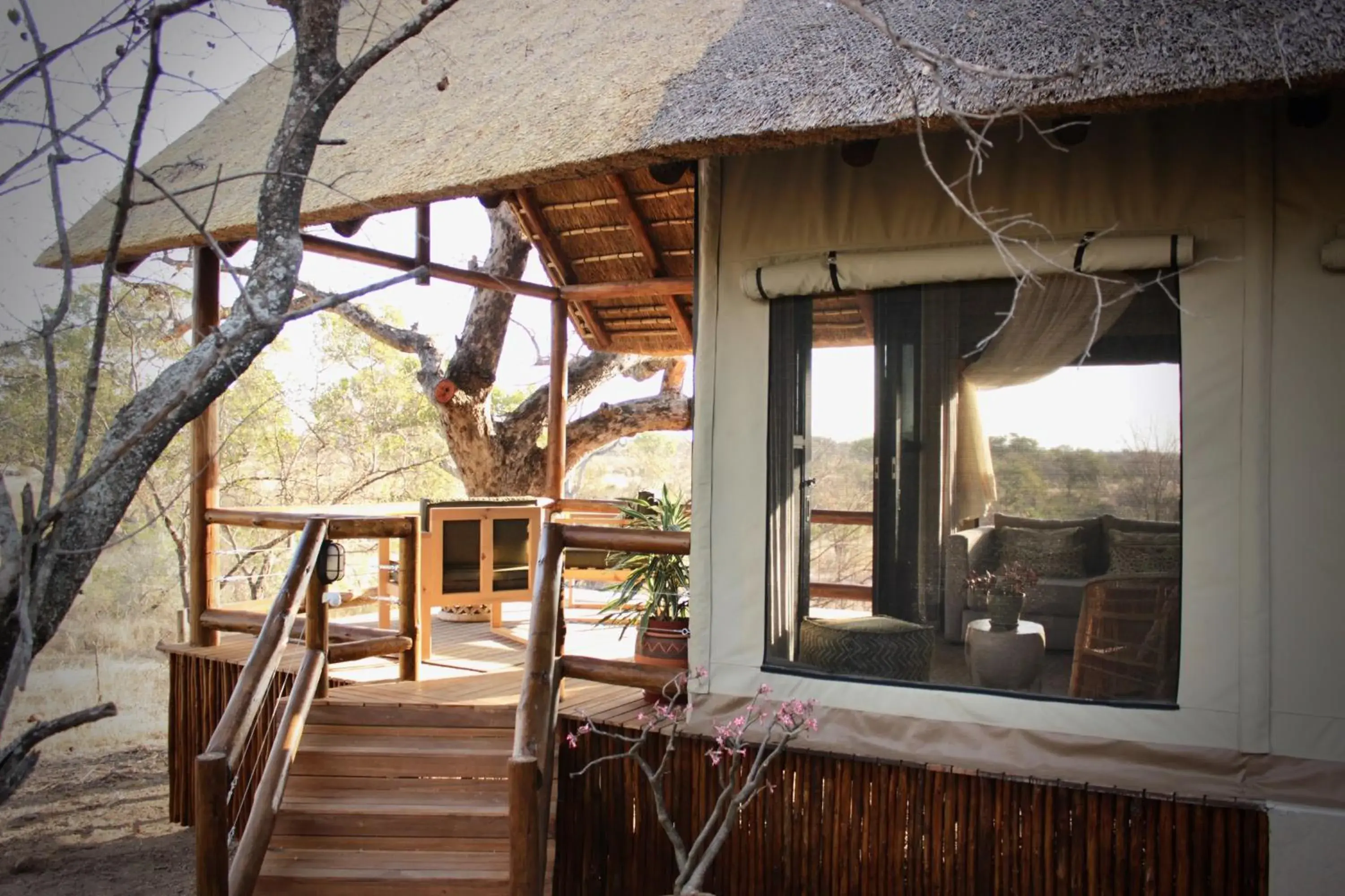 Luxury Tented Suite - single occupancy in Sausage Tree Safari Camp Luxury Tented Suite - single occupancy in Sausage Tree Safari Camp