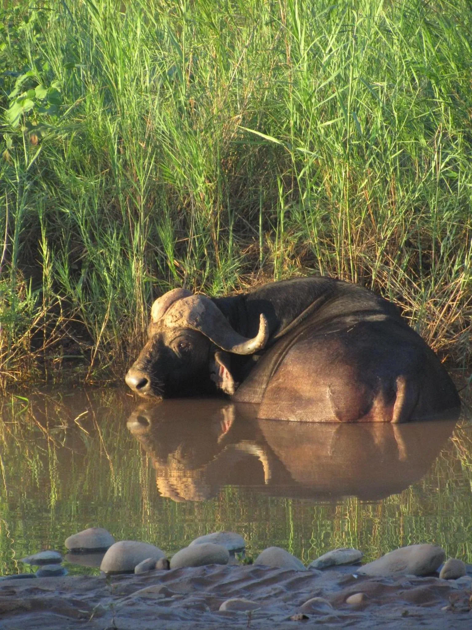 Activities in Sausage Tree Safari Camp
