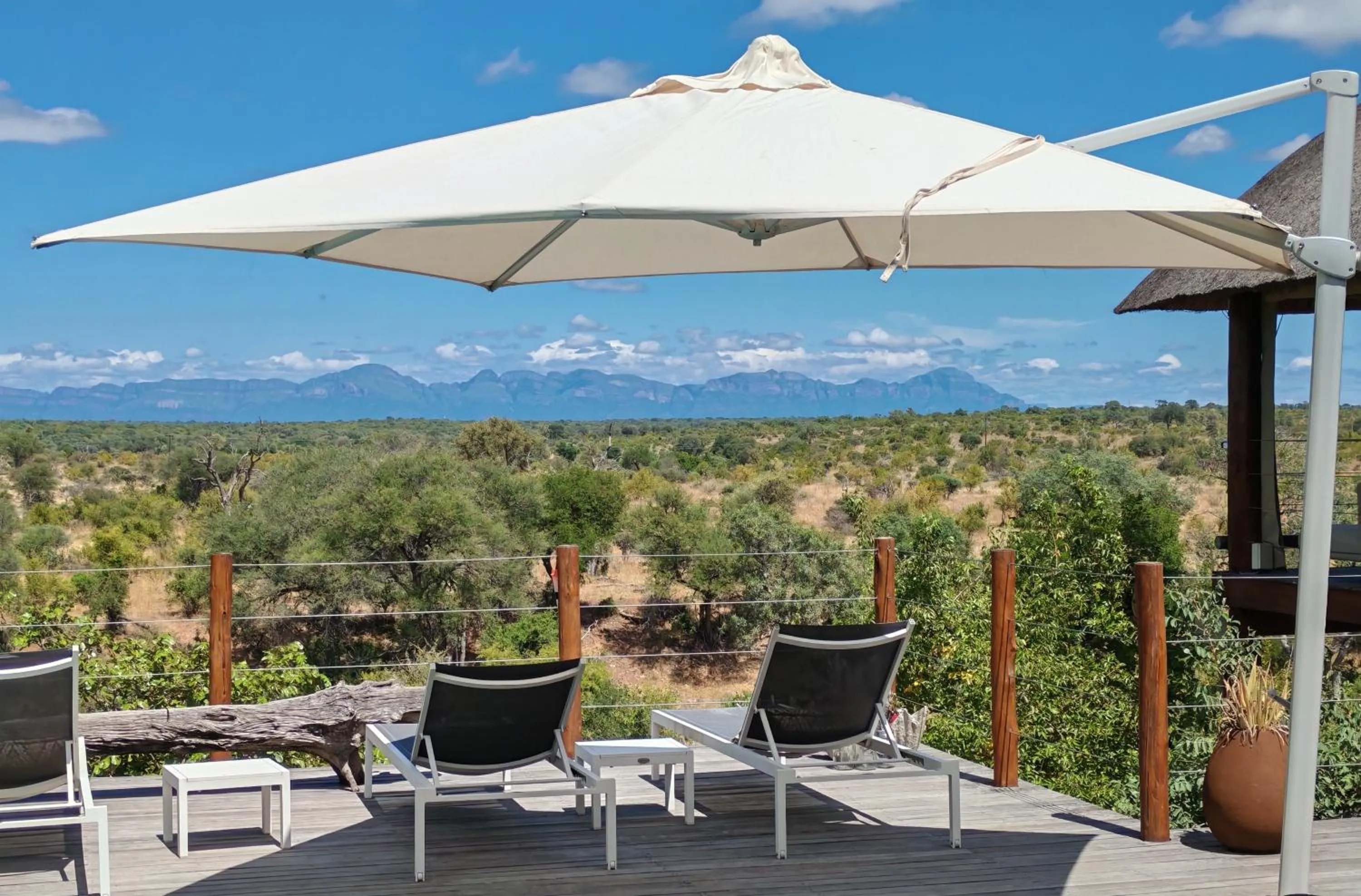 Garden in Sausage Tree Safari Camp